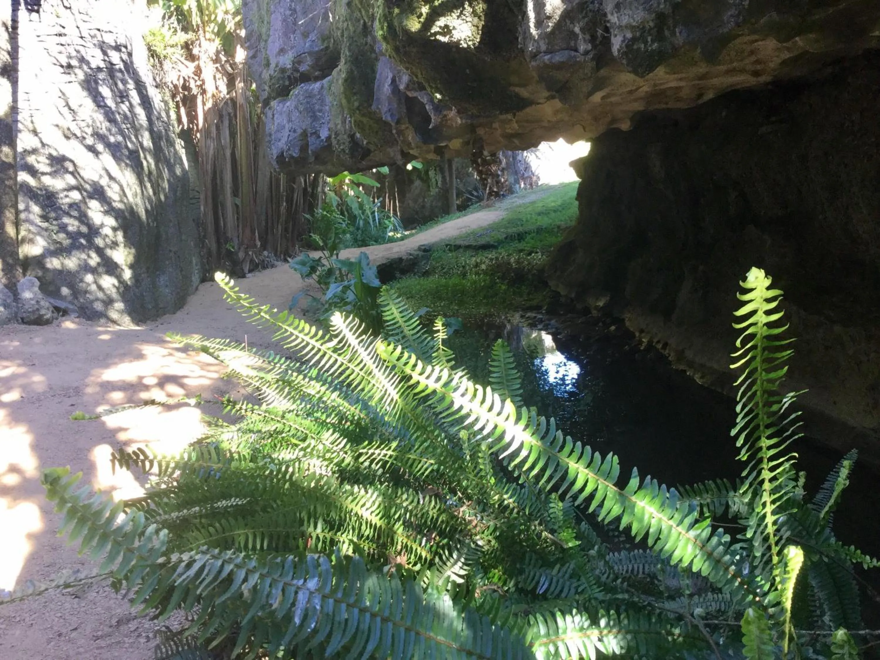 View (from property/room) in The Rocks Chalets