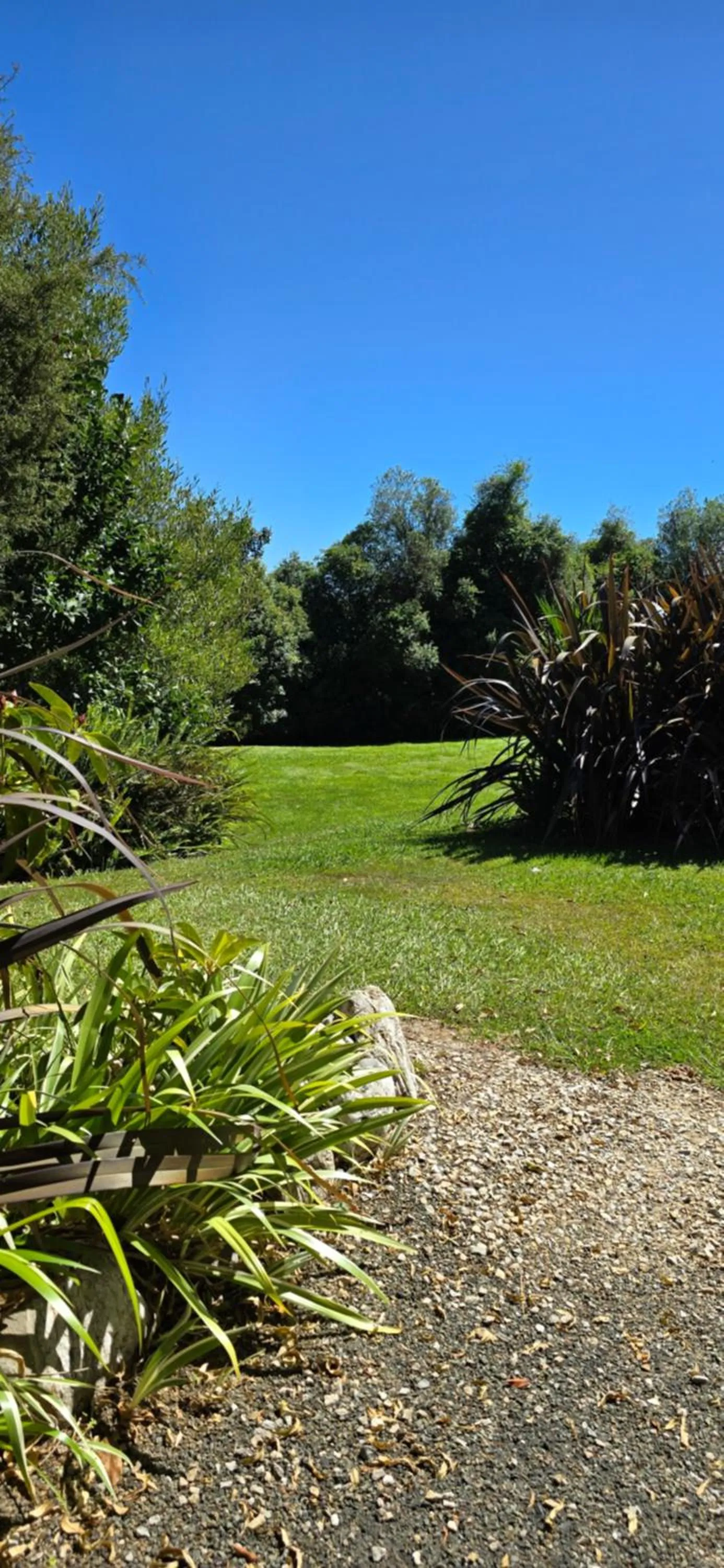 Garden view in The Rocks Chalets