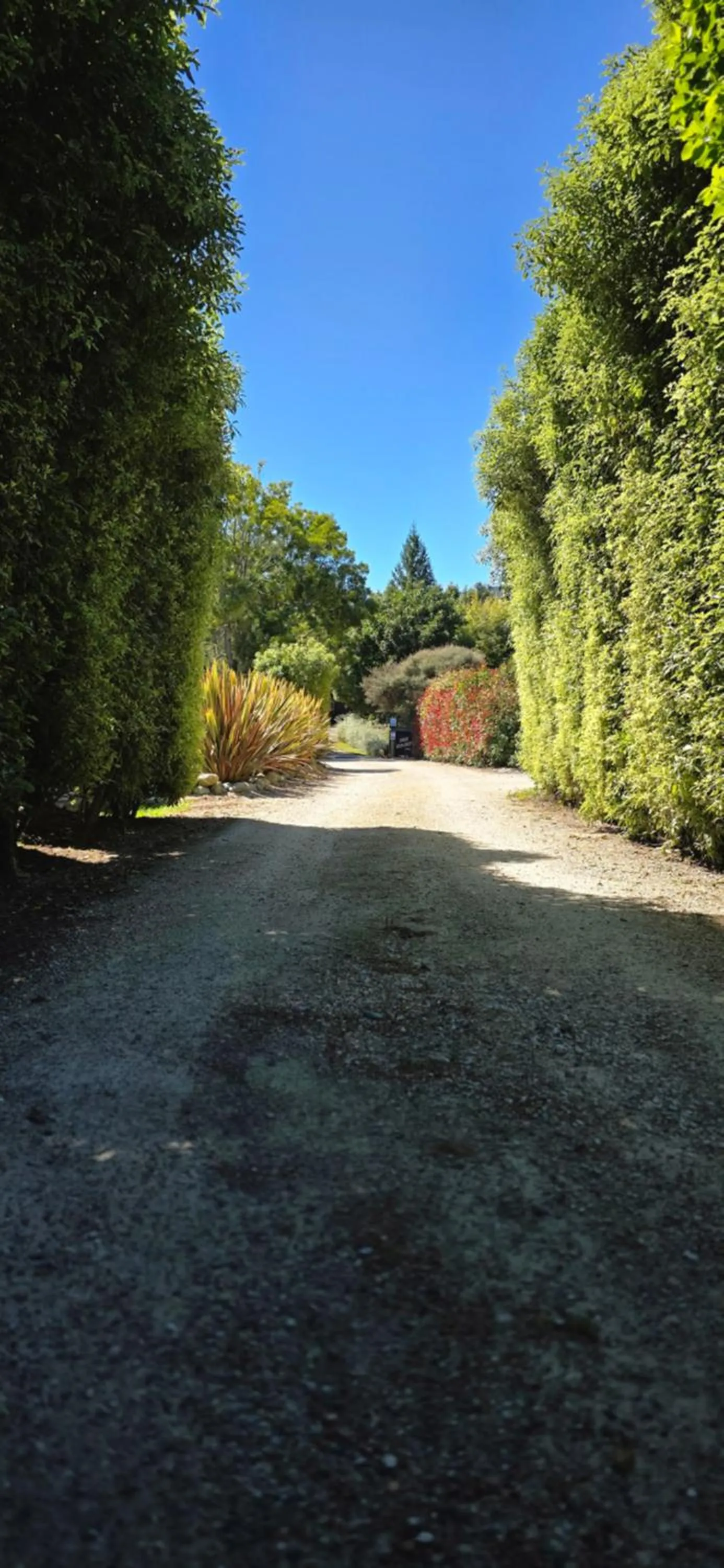 Natural landscape in The Rocks Chalets