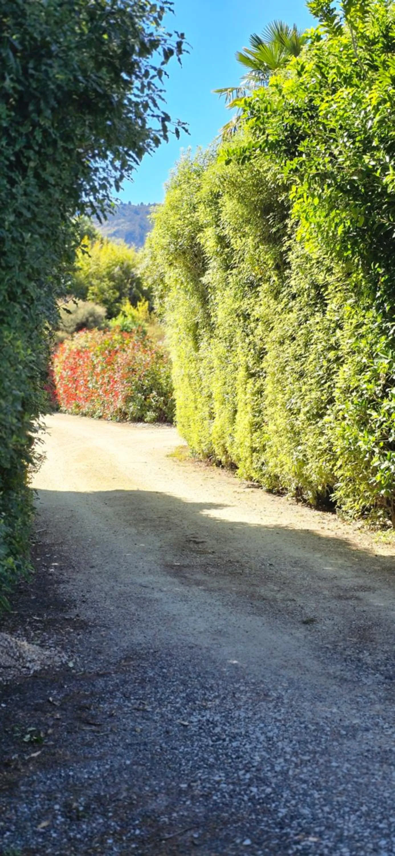 Natural landscape in The Rocks Chalets