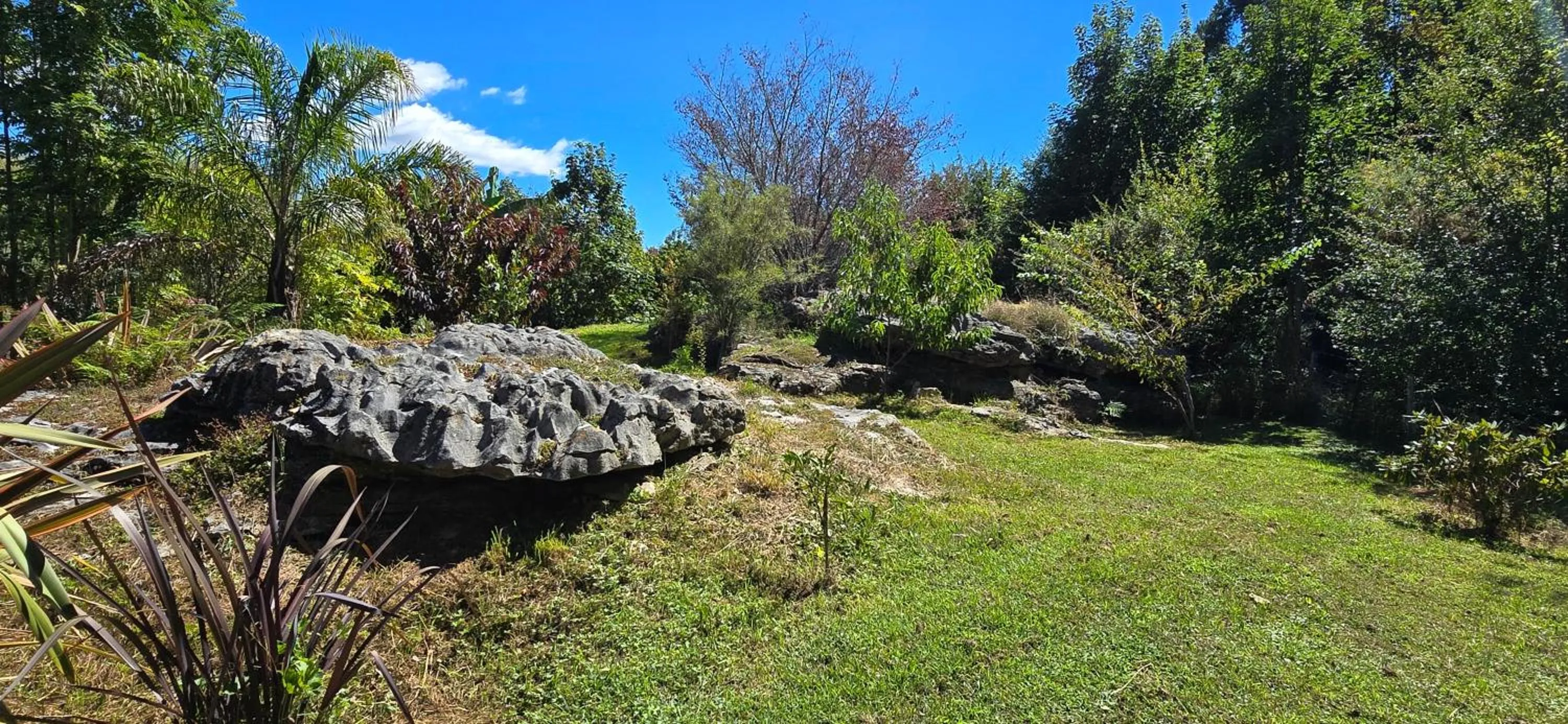 Natural landscape in The Rocks Chalets
