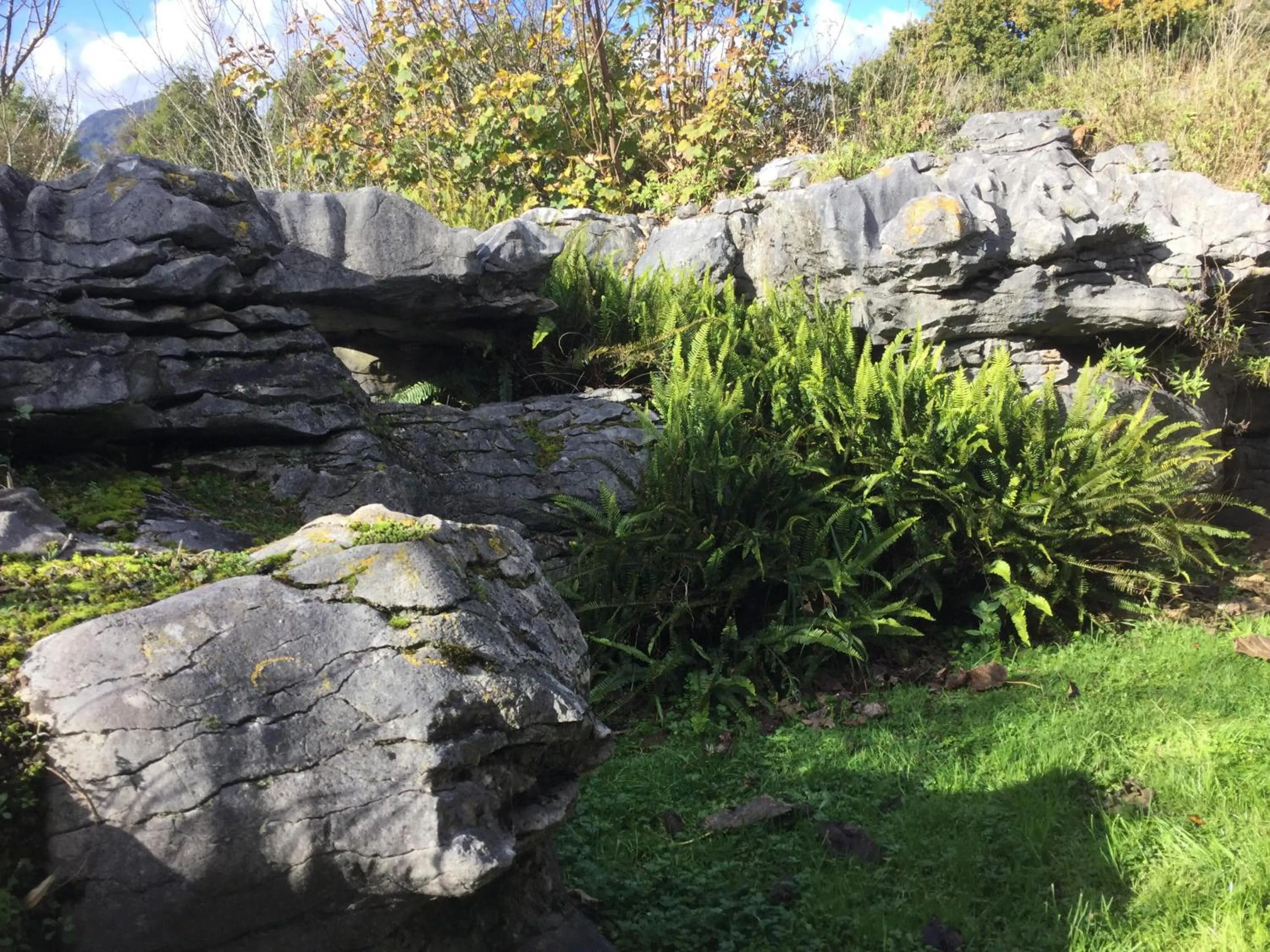 View (from property/room) in The Rocks Chalets