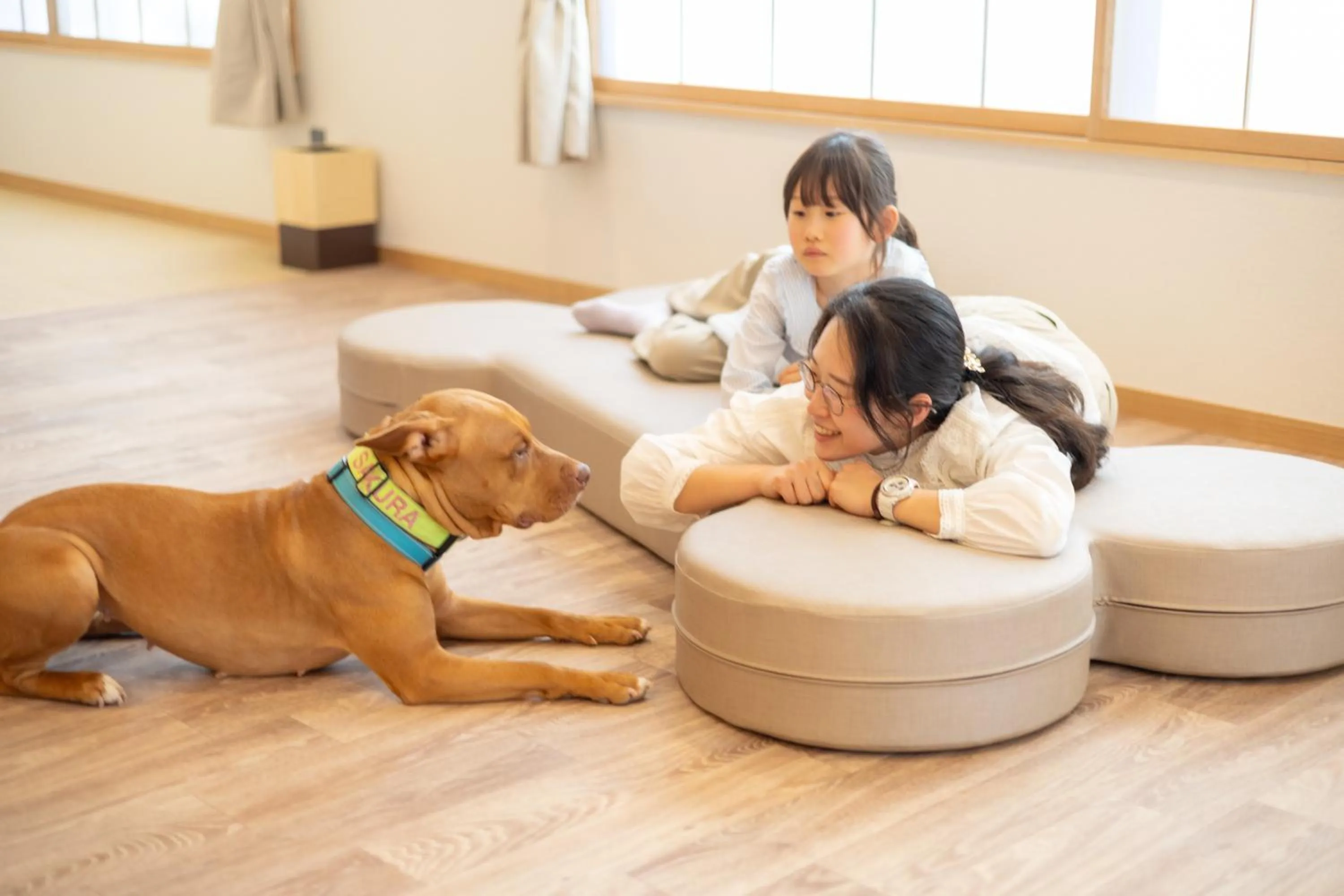 Animals in Komatsuya Hachinobou