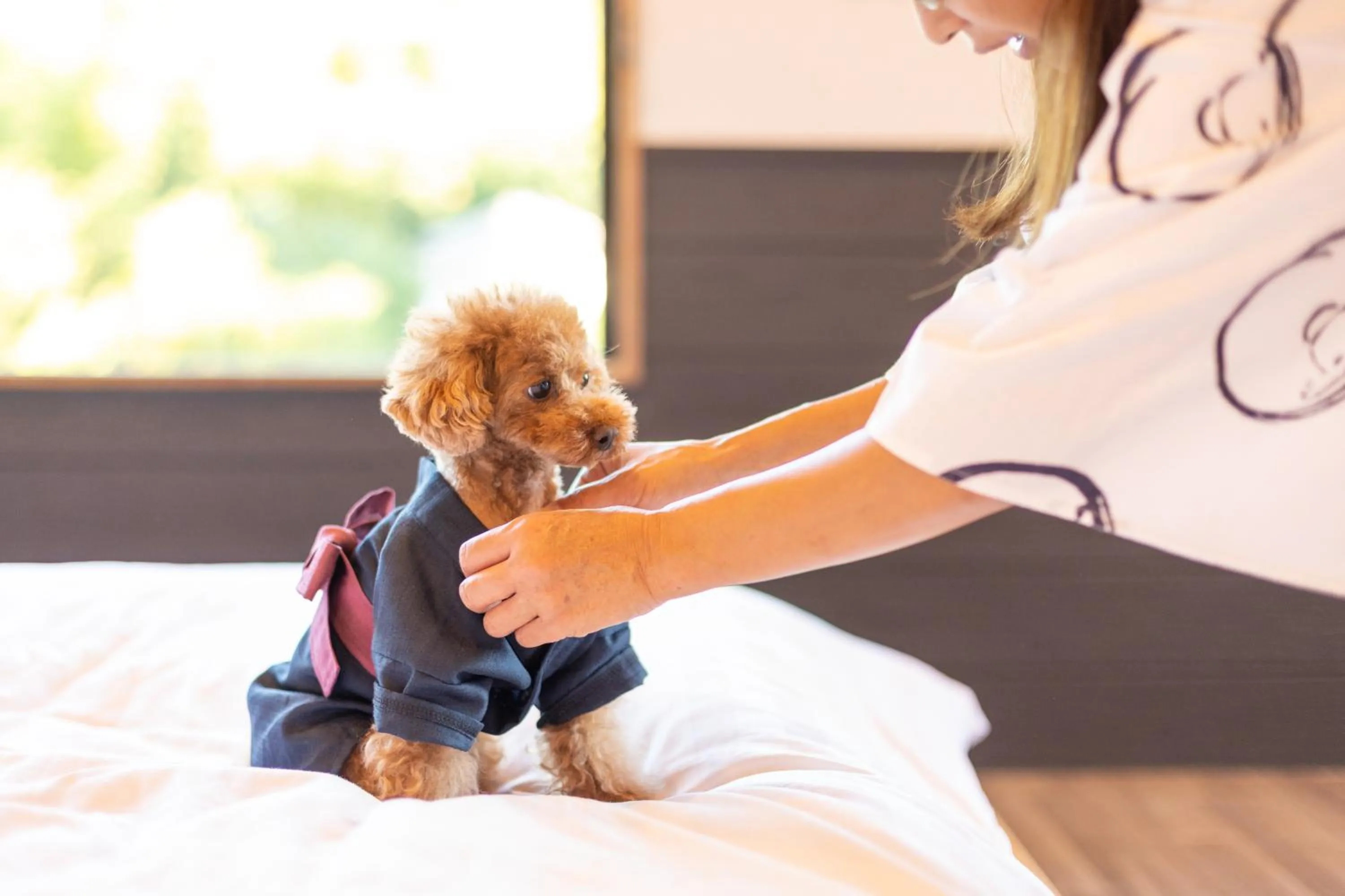 Pets in Komatsuya Hachinobou