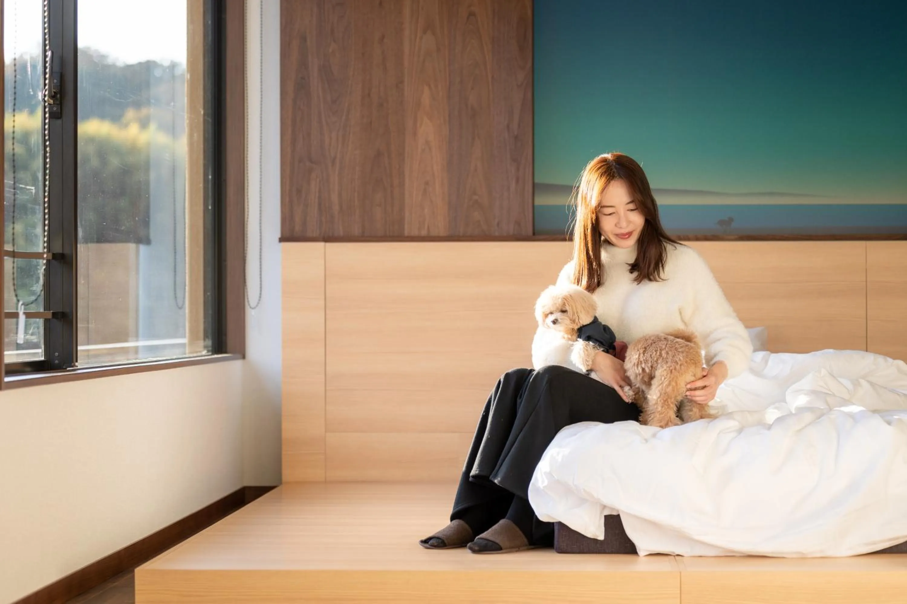 Pets, Bed in Komatsuya Hachinobou