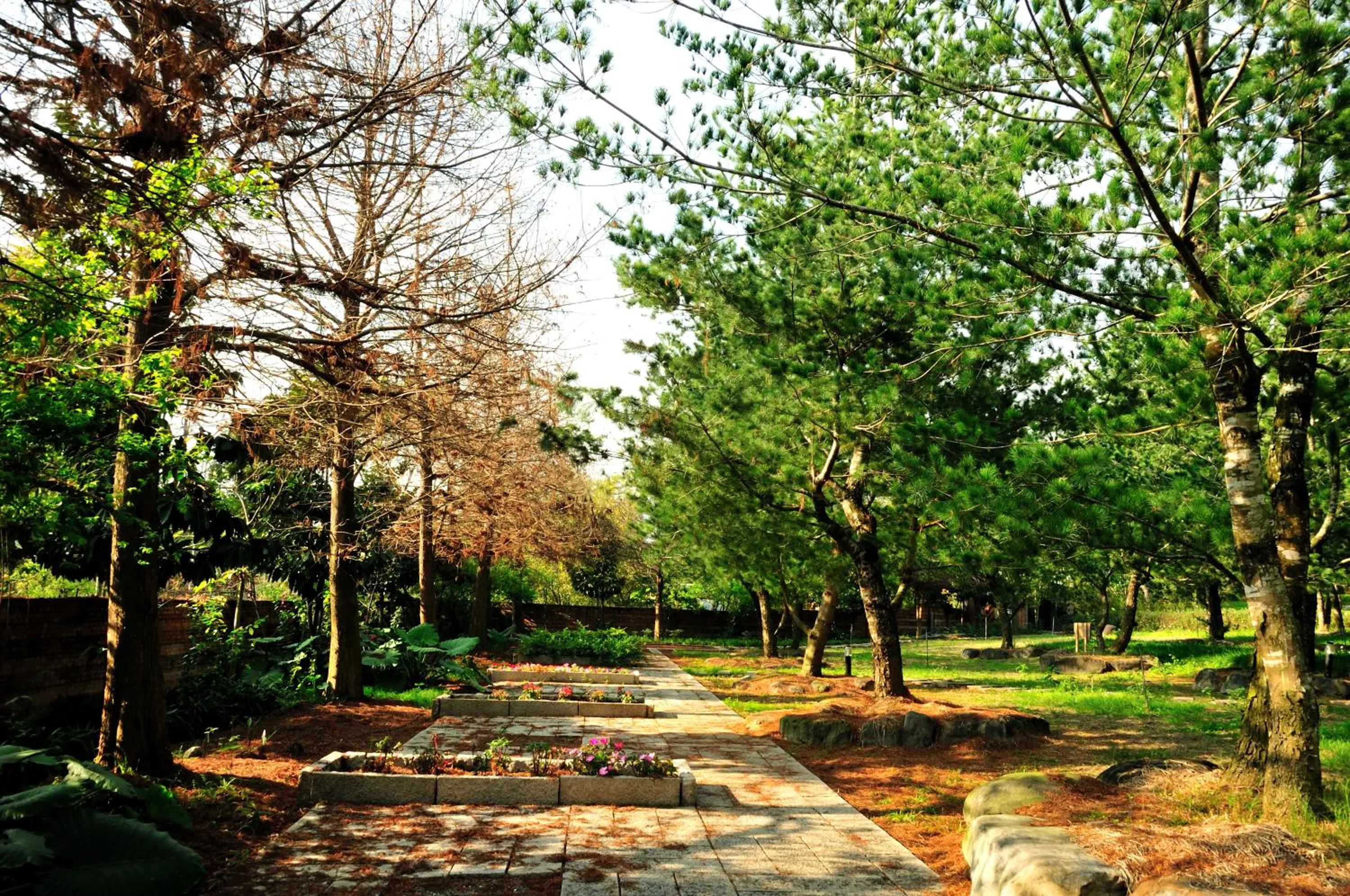 Garden in Zen and Pine Resort