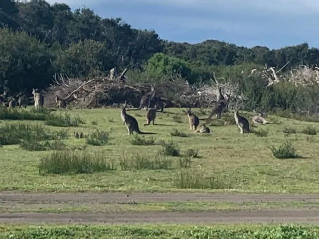 Broadbeach Inverloch