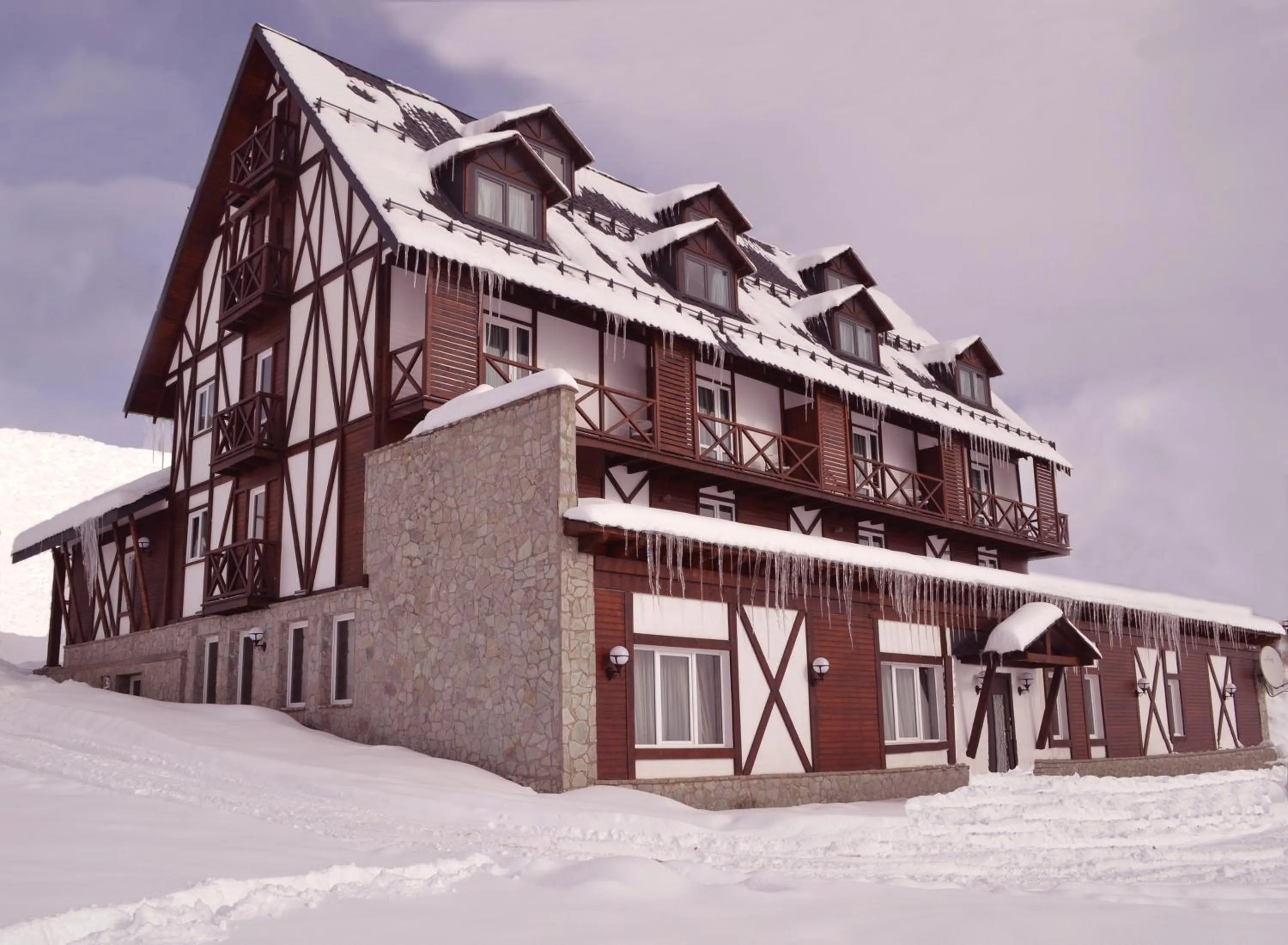 Winter in Edelweiss Hotel