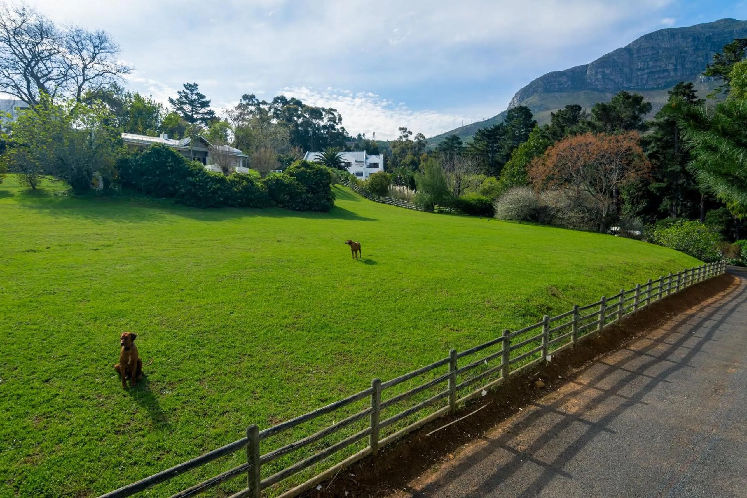 Day in De Molen Guest House