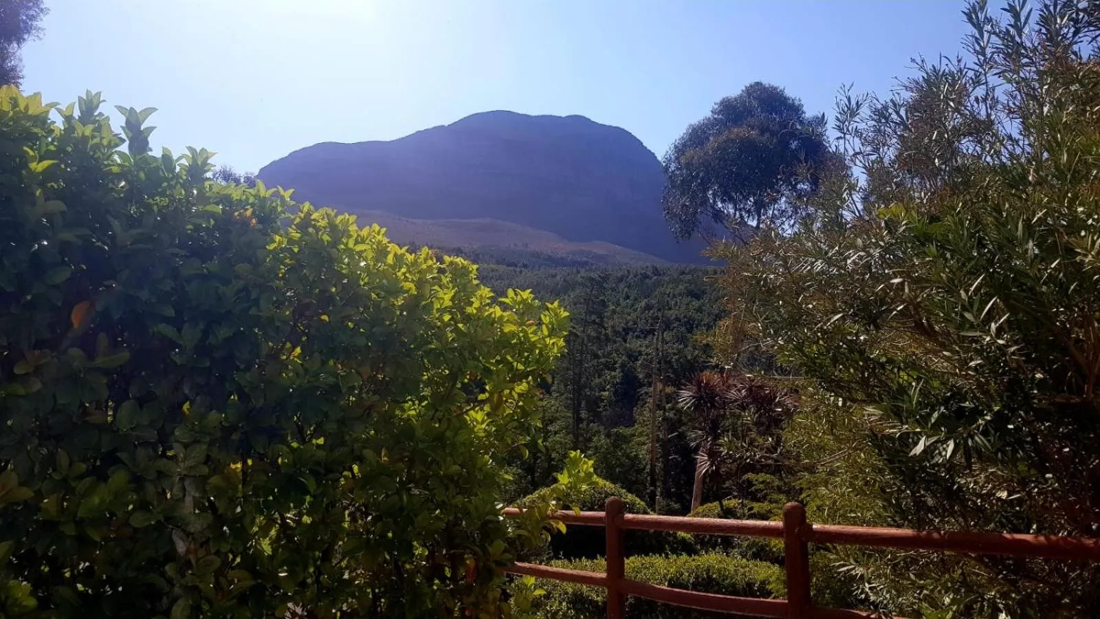 Natural landscape in De Molen Guest House