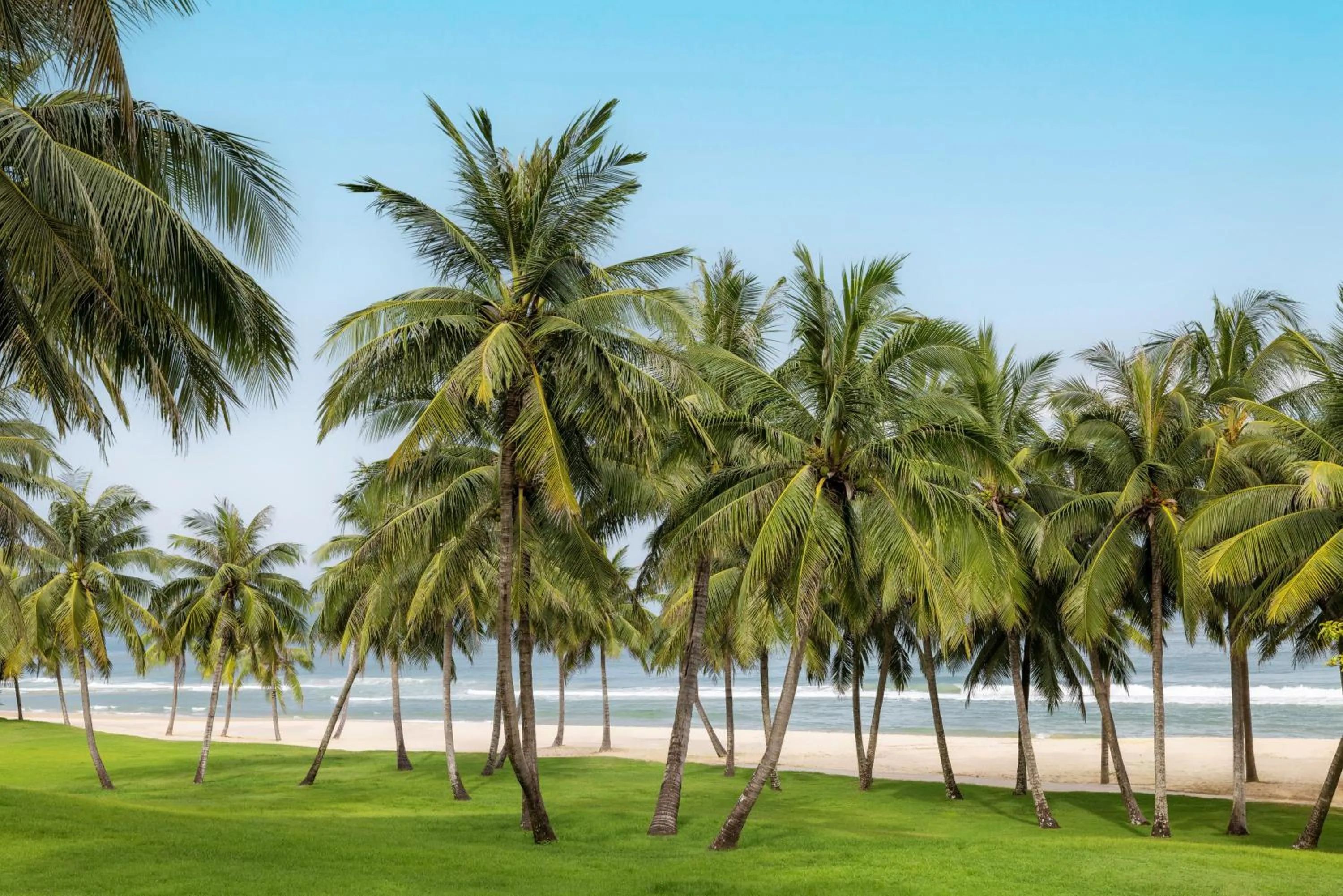 Property building in Raffles Hainan Clear Water Bay