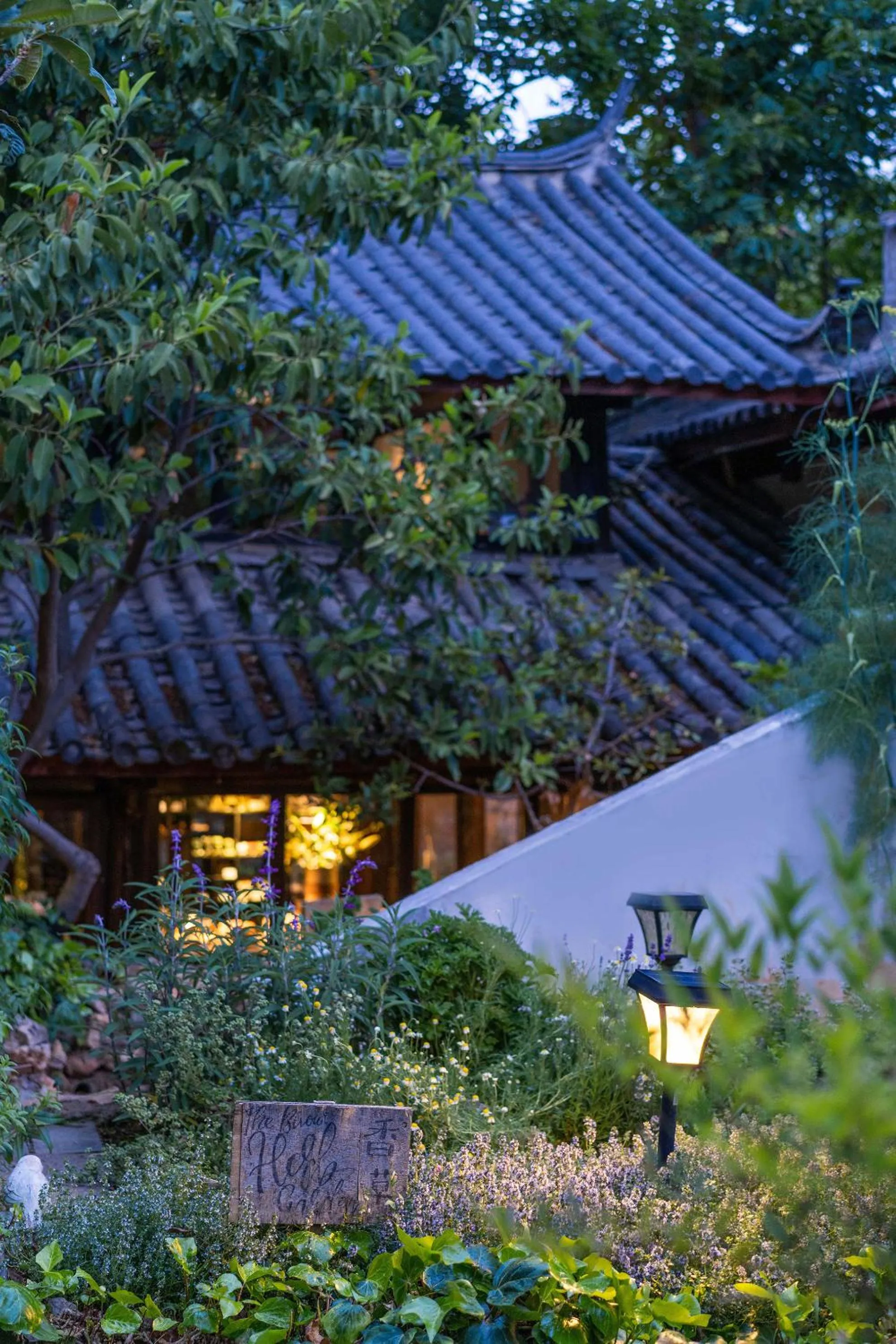 Garden in The Bivou Lijiang