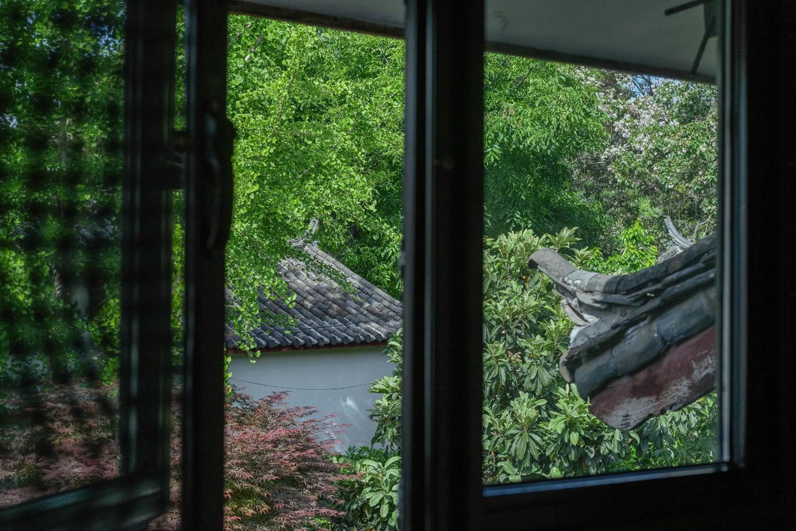 Natural landscape in The Bivou Lijiang