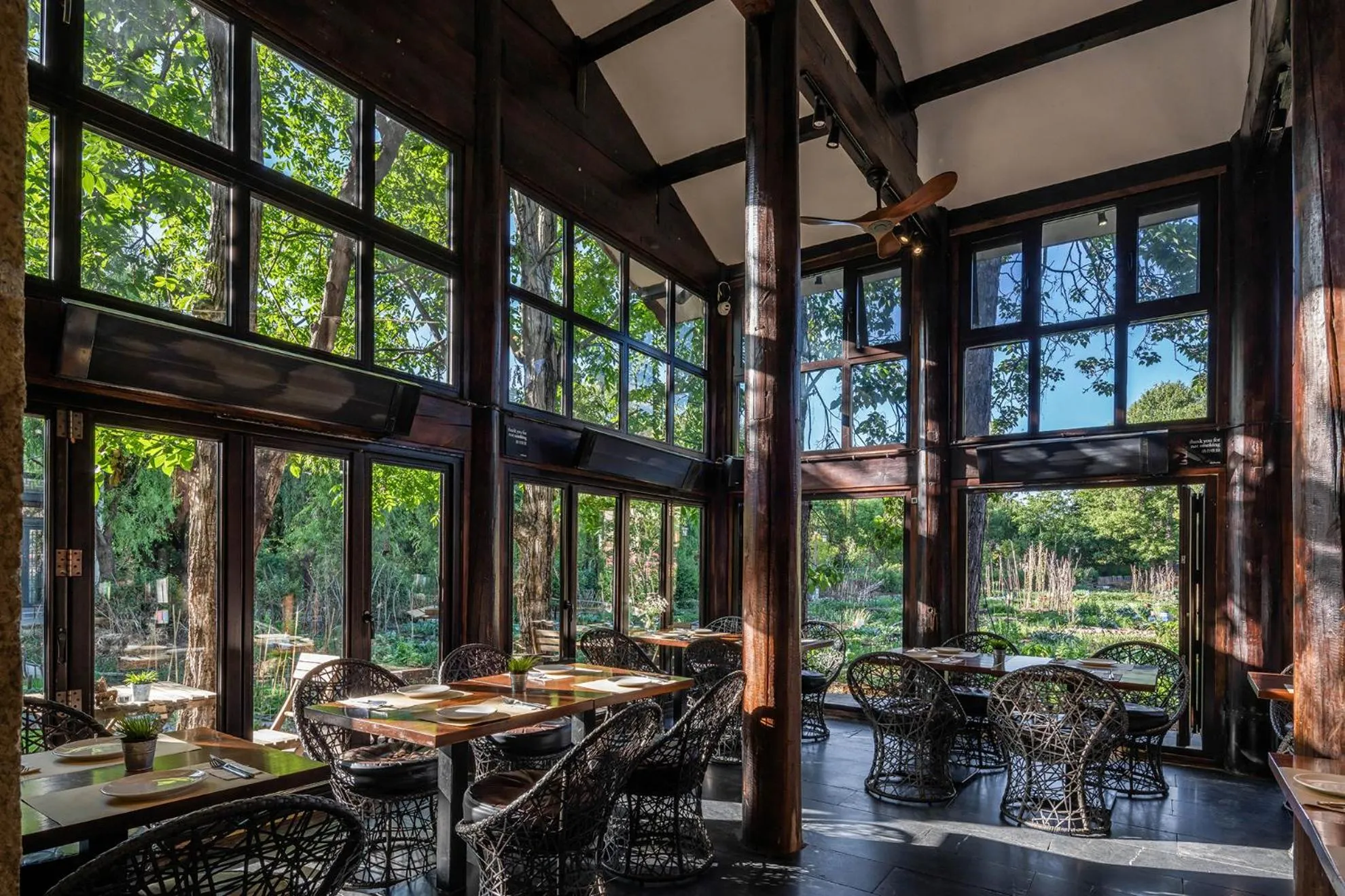 Restaurant/places to eat in The Bivou Lijiang