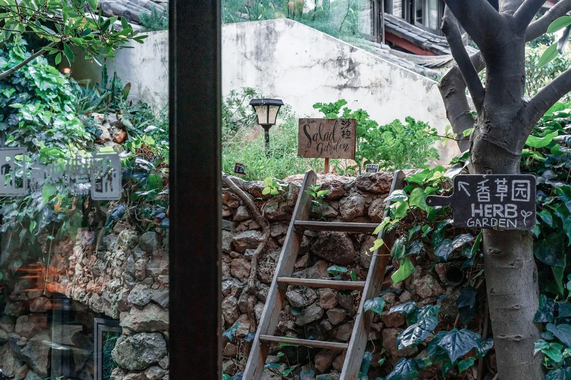 Natural landscape in The Bivou Lijiang