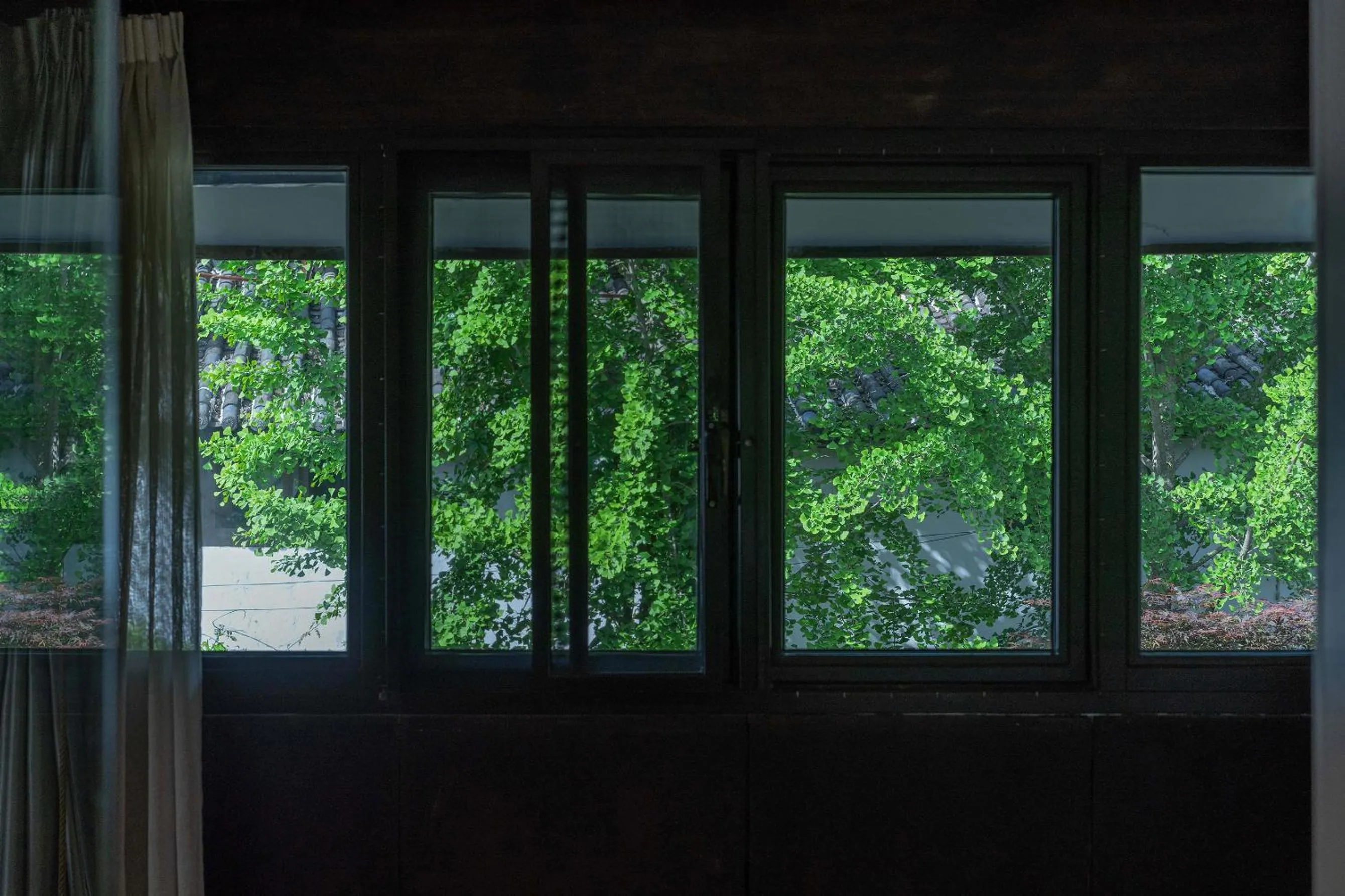 Natural landscape in The Bivou Lijiang