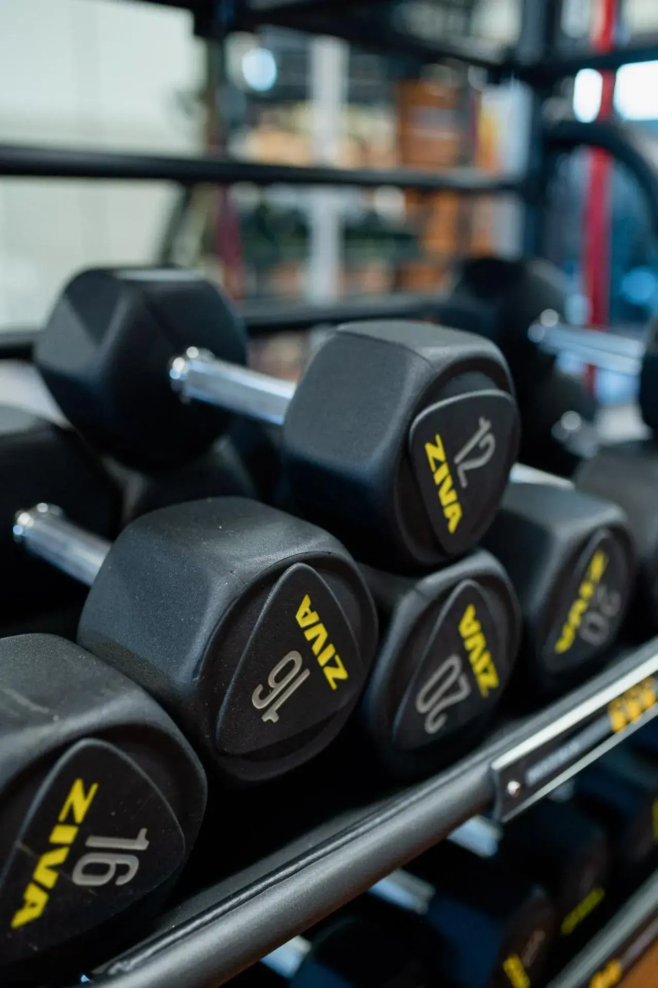 Fitness centre/facilities in Belstay Milano Assago Fitness centre/facilities in Belstay Milano Assago