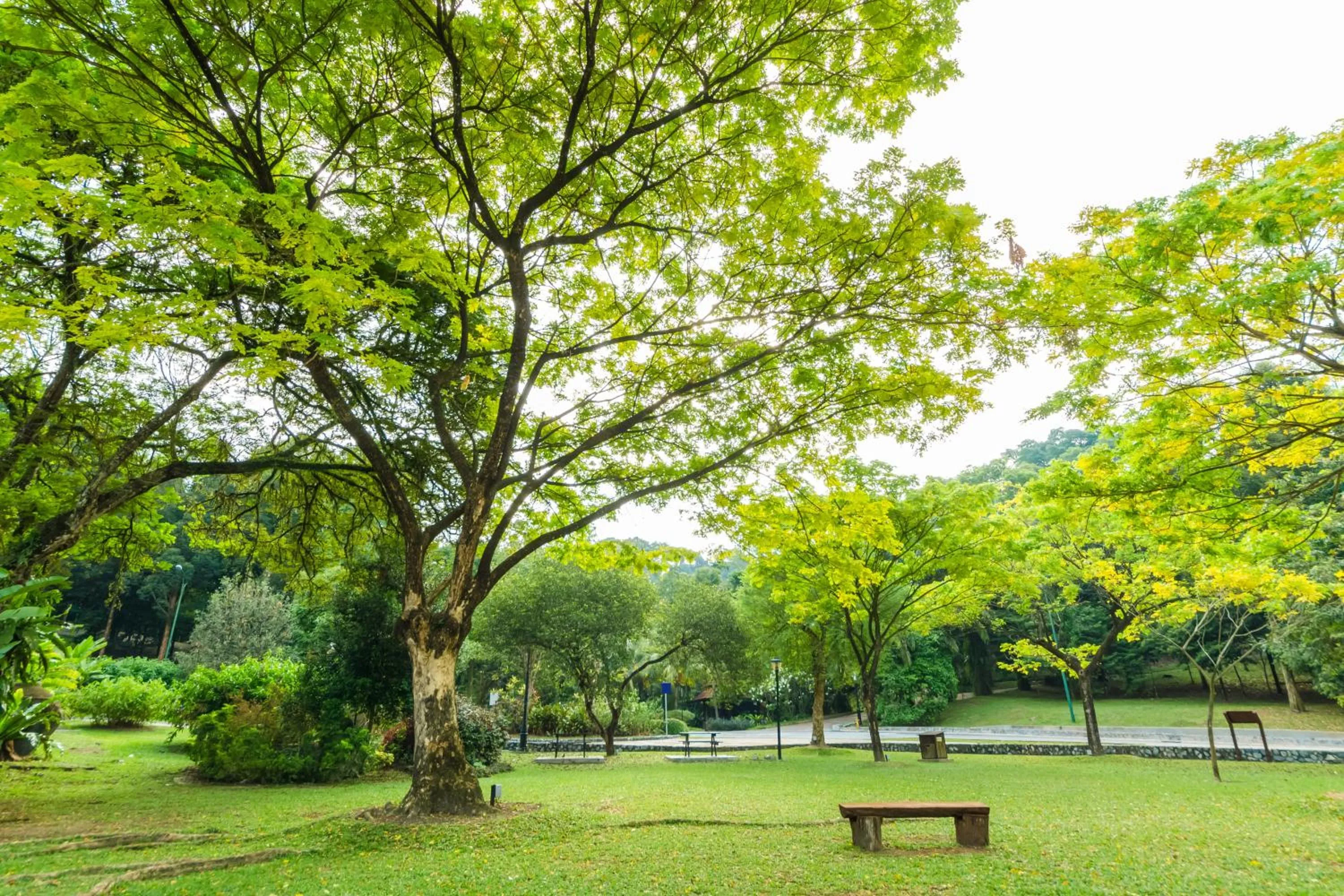 Garden in Hotel Komune Living & Wellness Kuala Lumpur