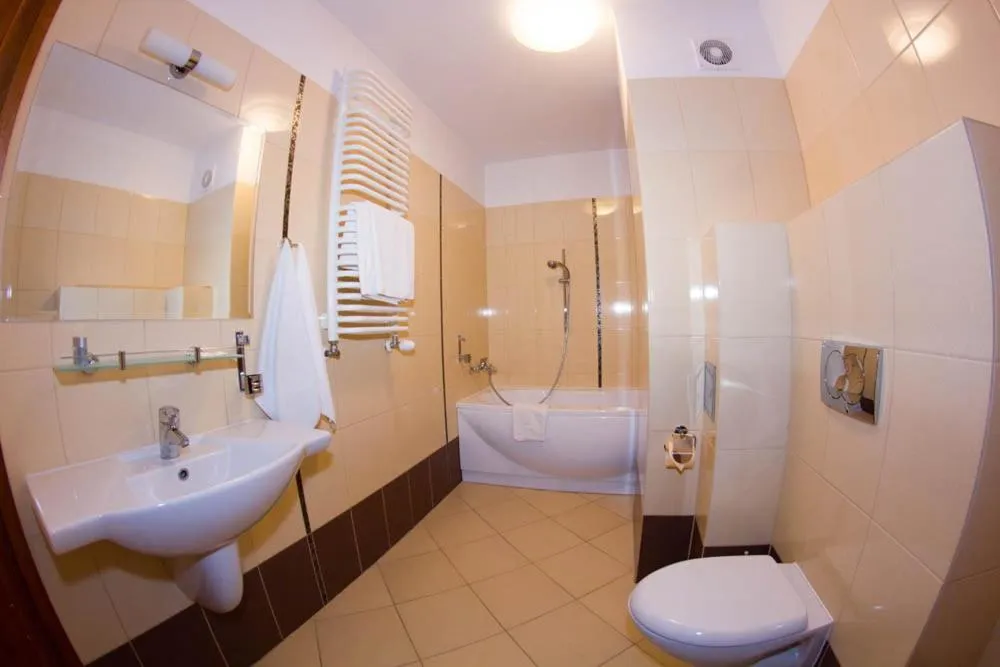 Toilet in Hotel Stodółka