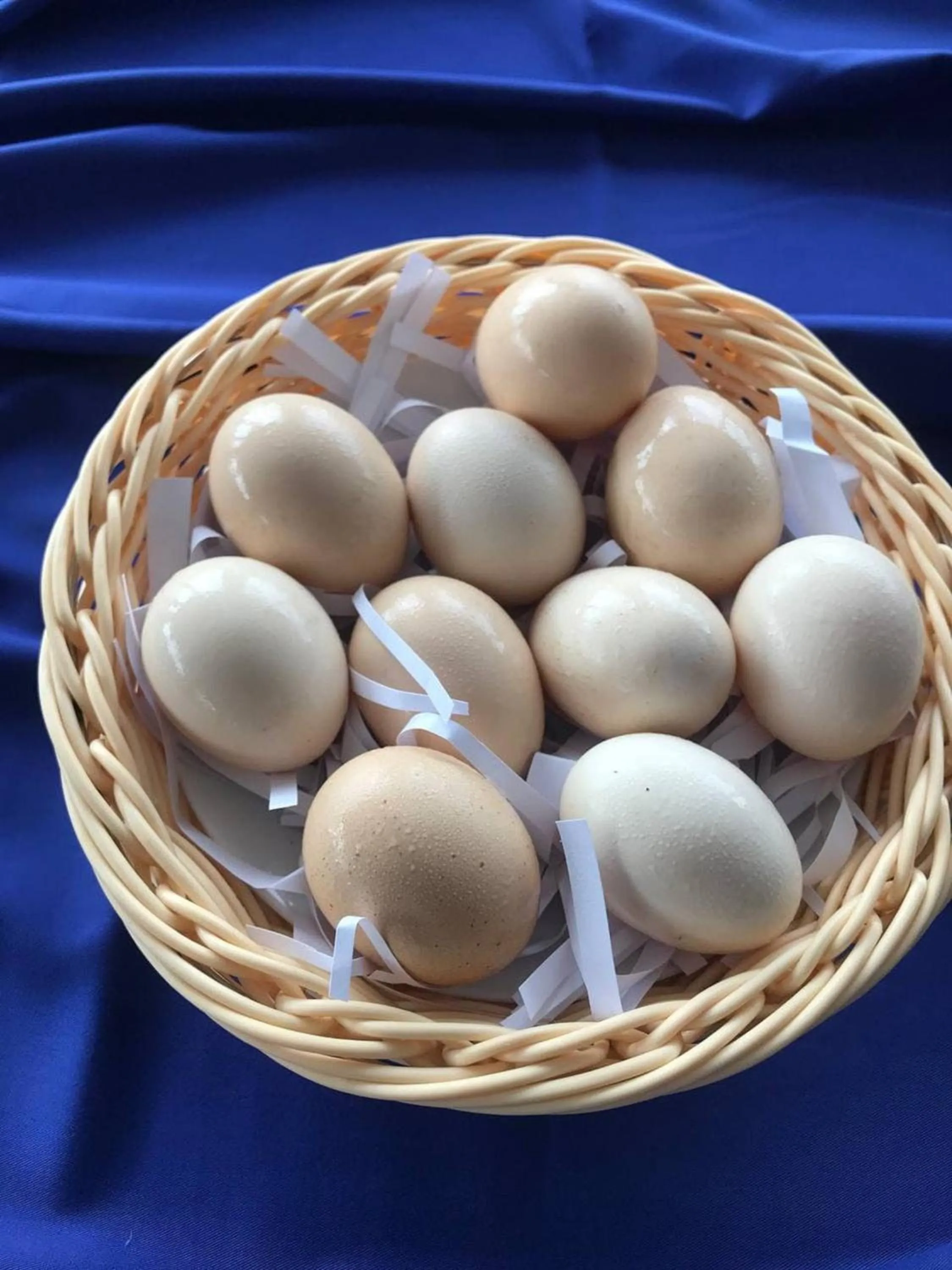 Restaurant/places to eat in V V Hotel Battambang