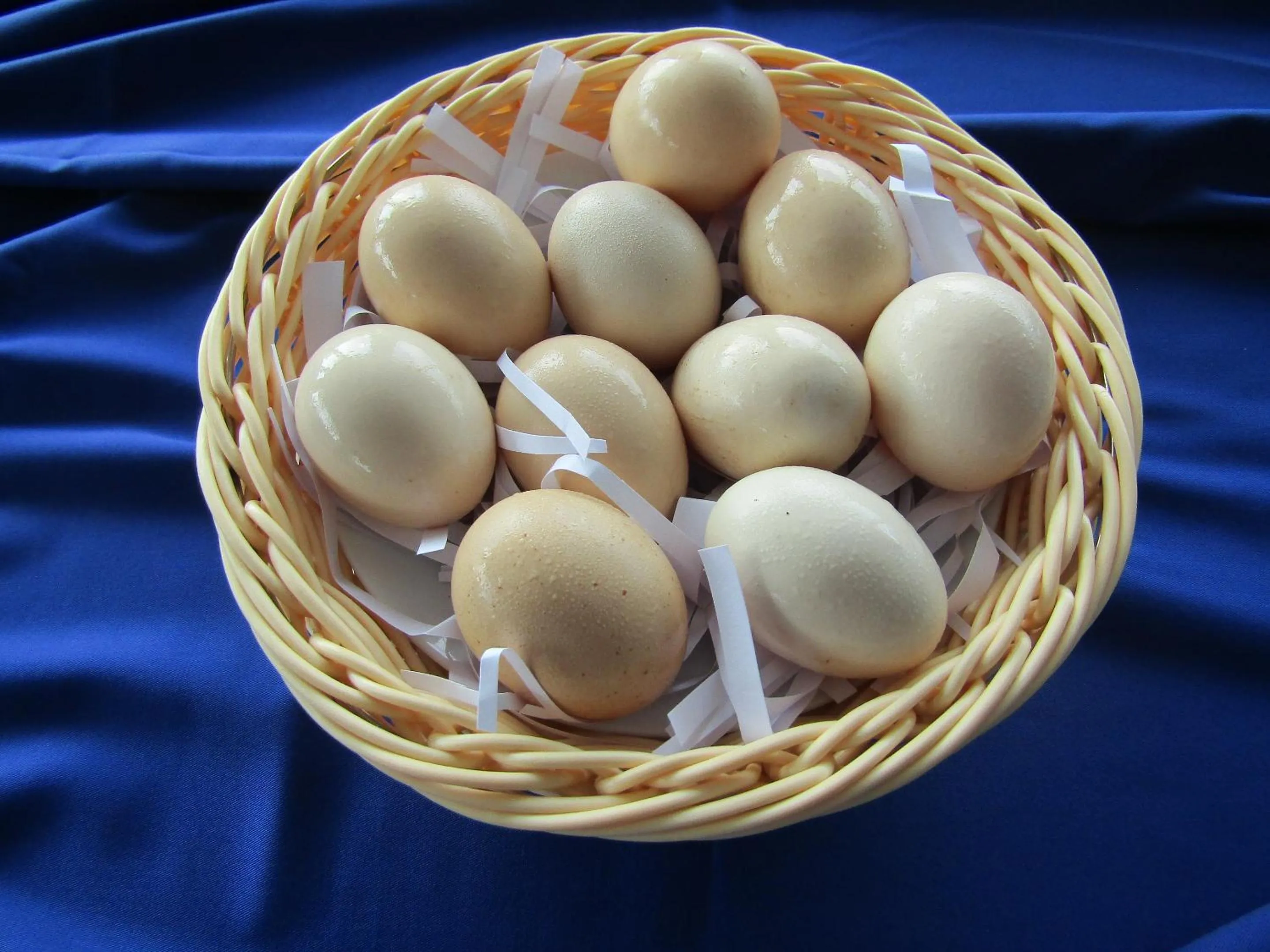 Restaurant/places to eat in V V Hotel Battambang