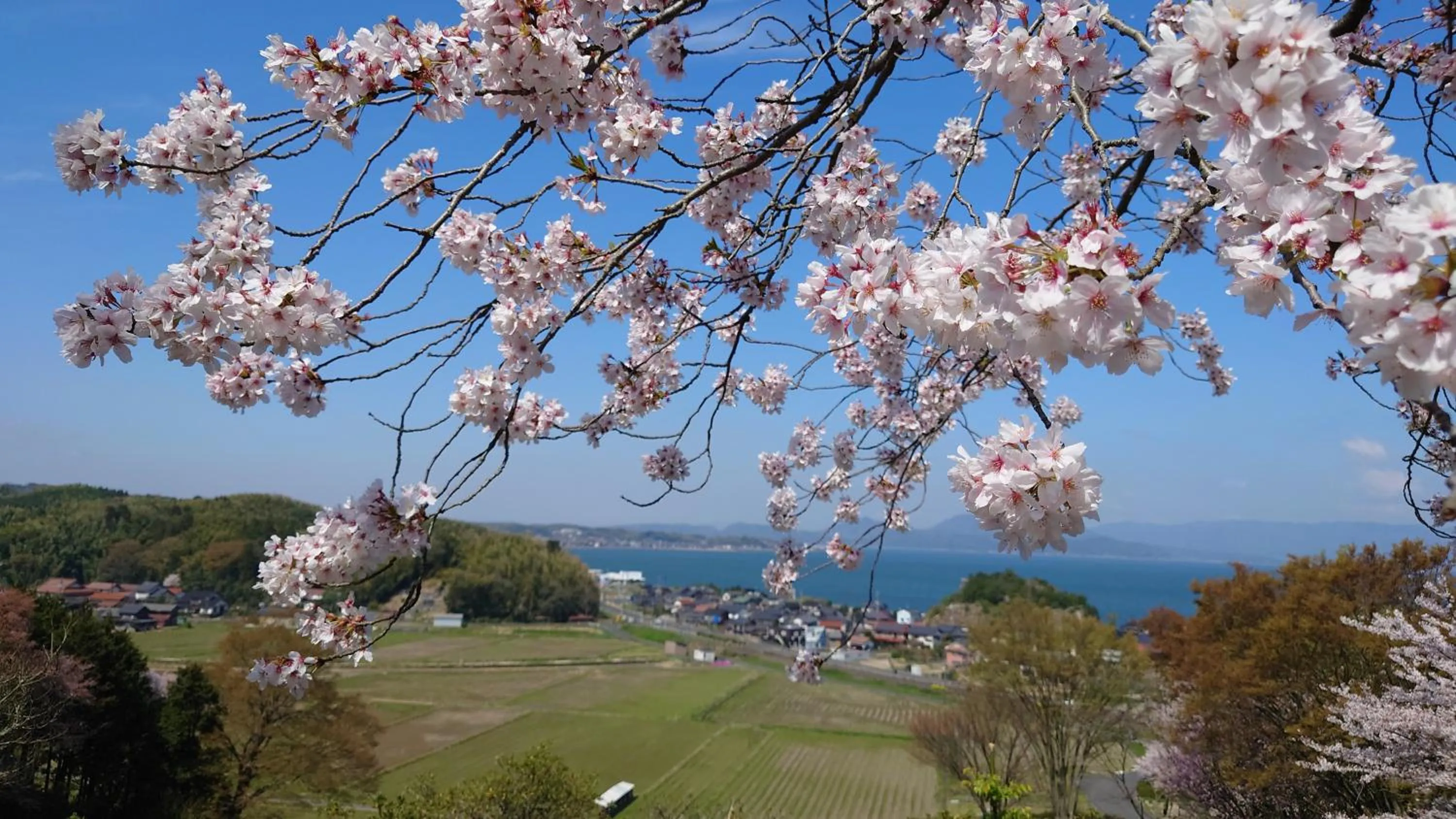 Natural landscape in ゲストハウス あずも GuestHouse AZMO