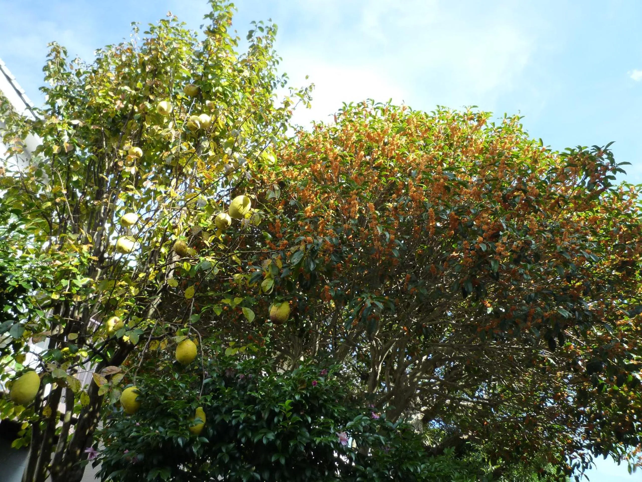 Property building in ゲストハウス あずも GuestHouse AZMO