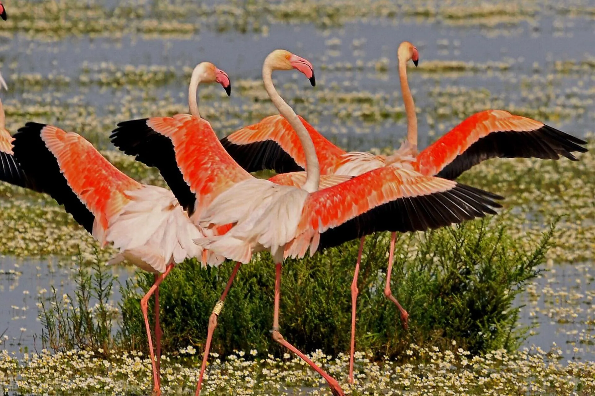 Nearby landmark in Hospedarte Cazadero Real