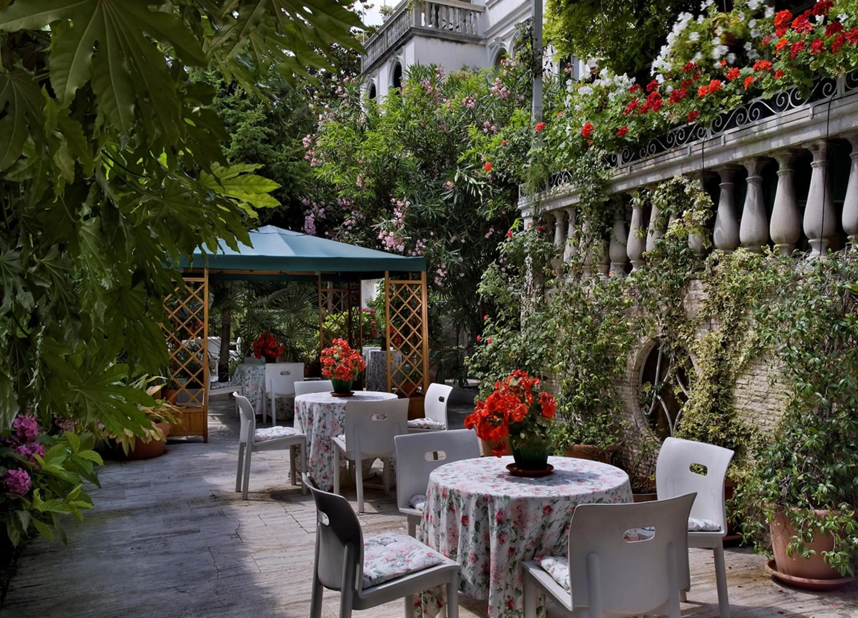 Garden in Hotel Biasutti
