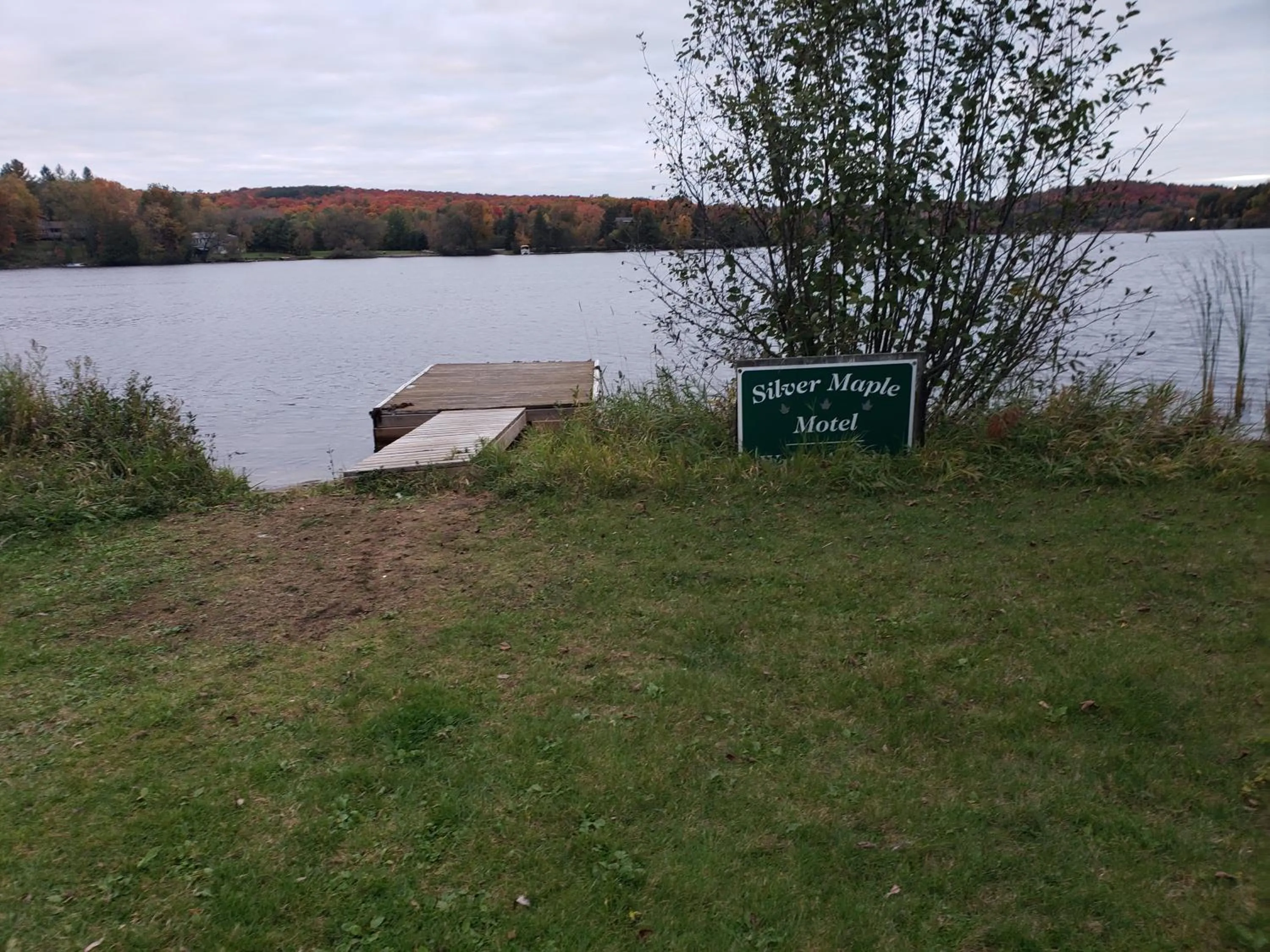 Day in Silver Maple Motel