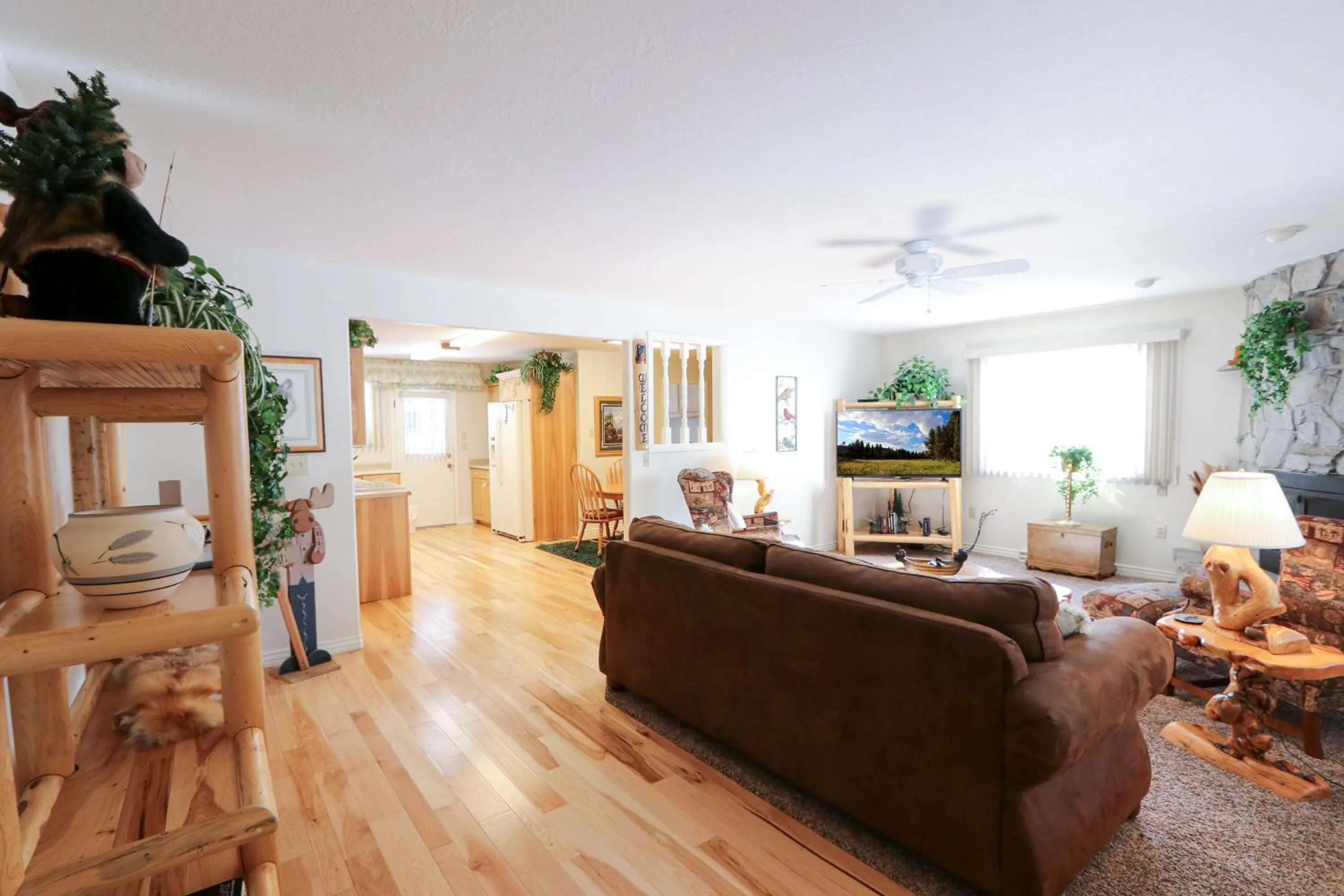 TV and multimedia in South Fork Cabin