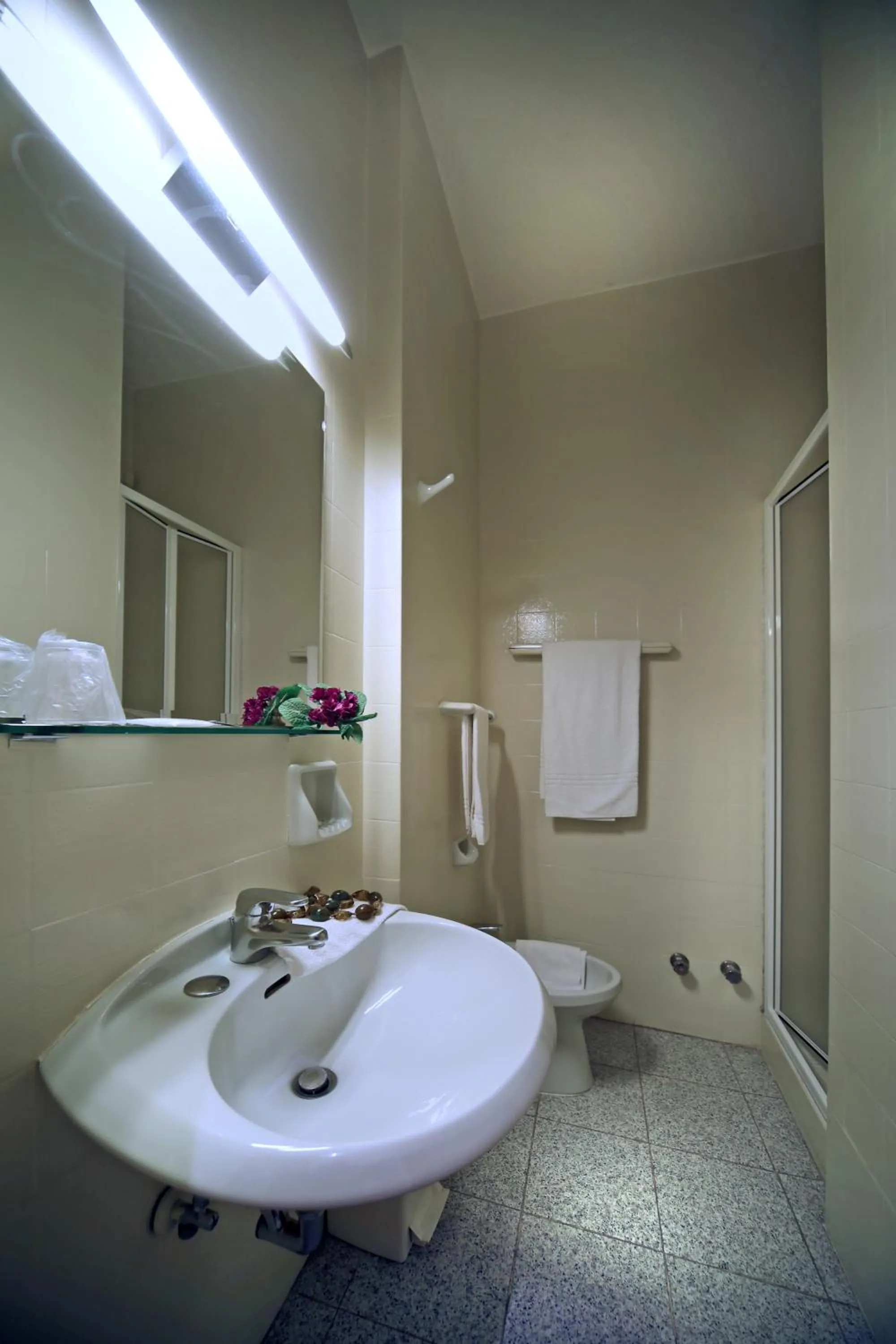 Shower in Hotel Cristallo Brescia