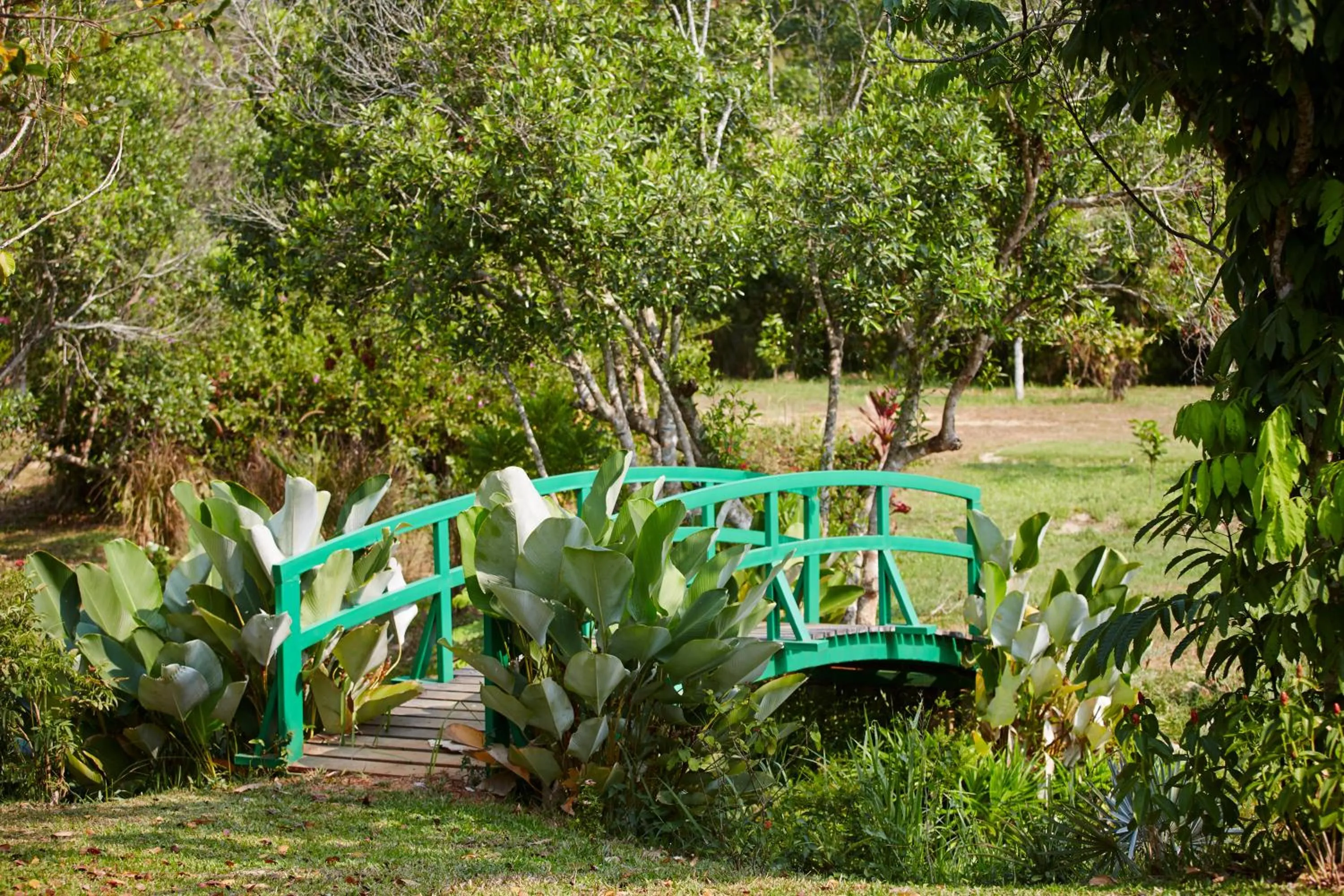 Garden in Wareerak Hot Spring & Wellness- SHA Extra Plus