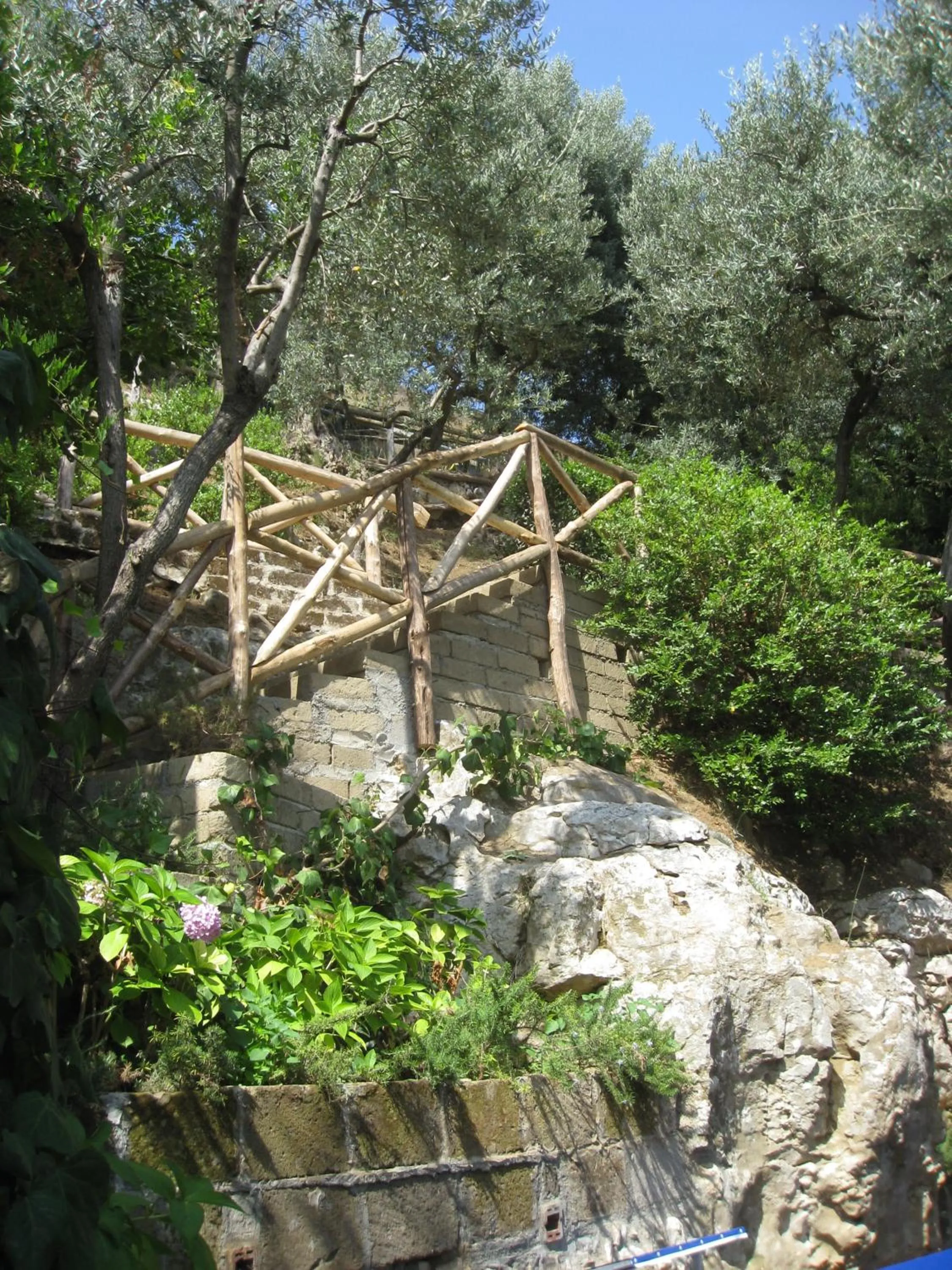 Garden in Hotel Cristina
