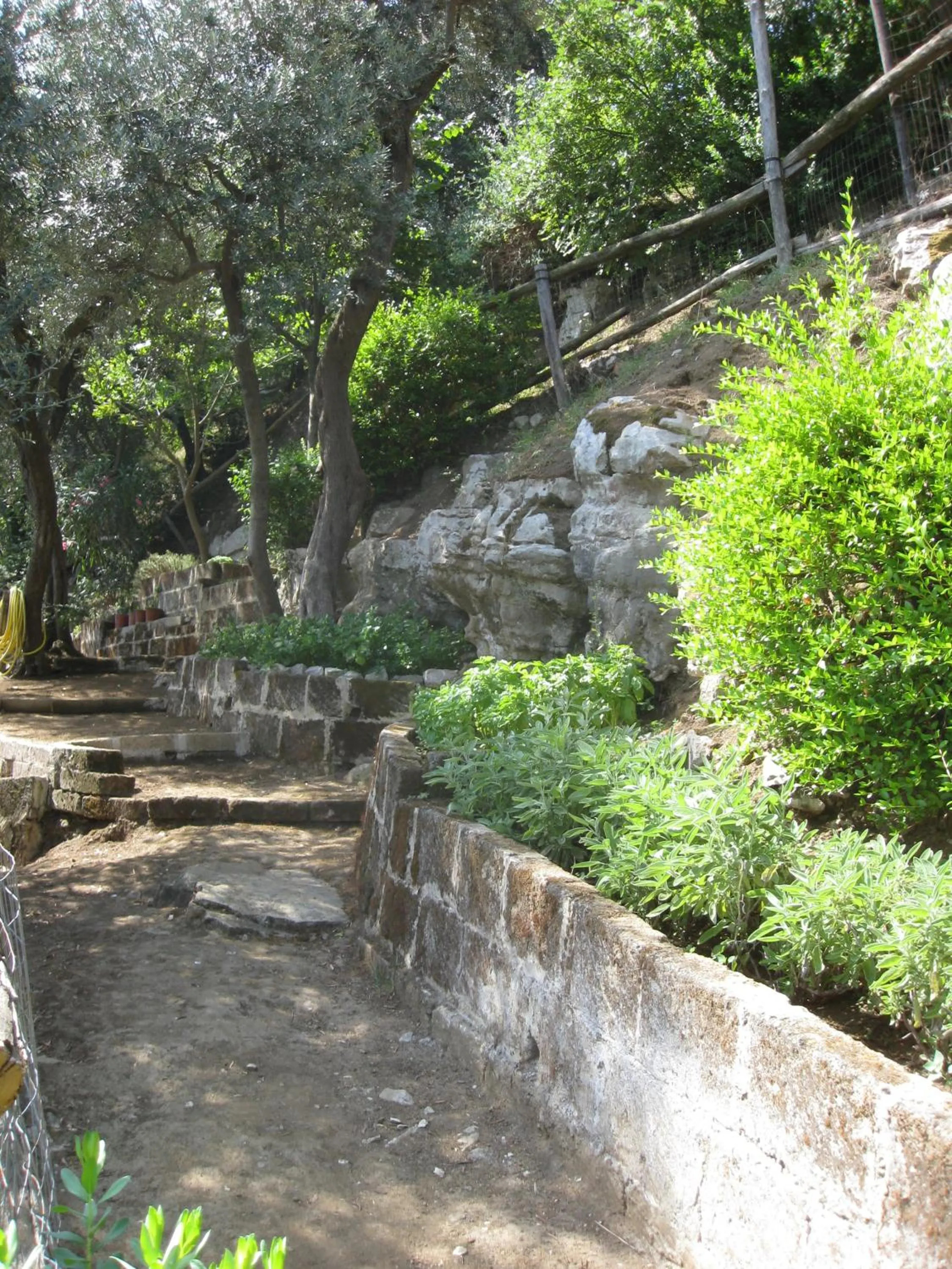 Garden in Hotel Cristina