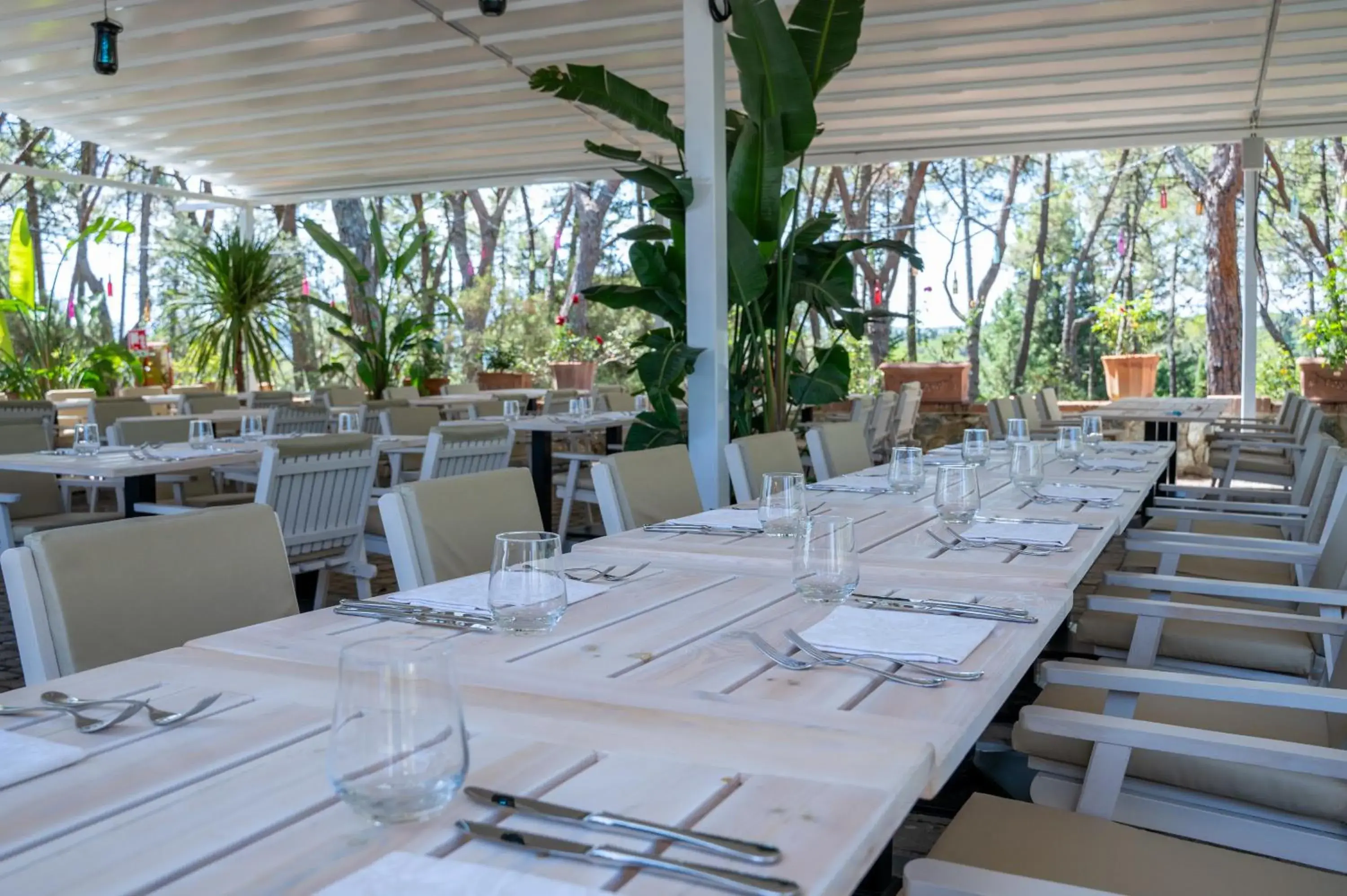 Restaurant/places to eat in Villa Cesi Resort & Spa Restaurant/places to eat in Villa Cesi Resort & Spa