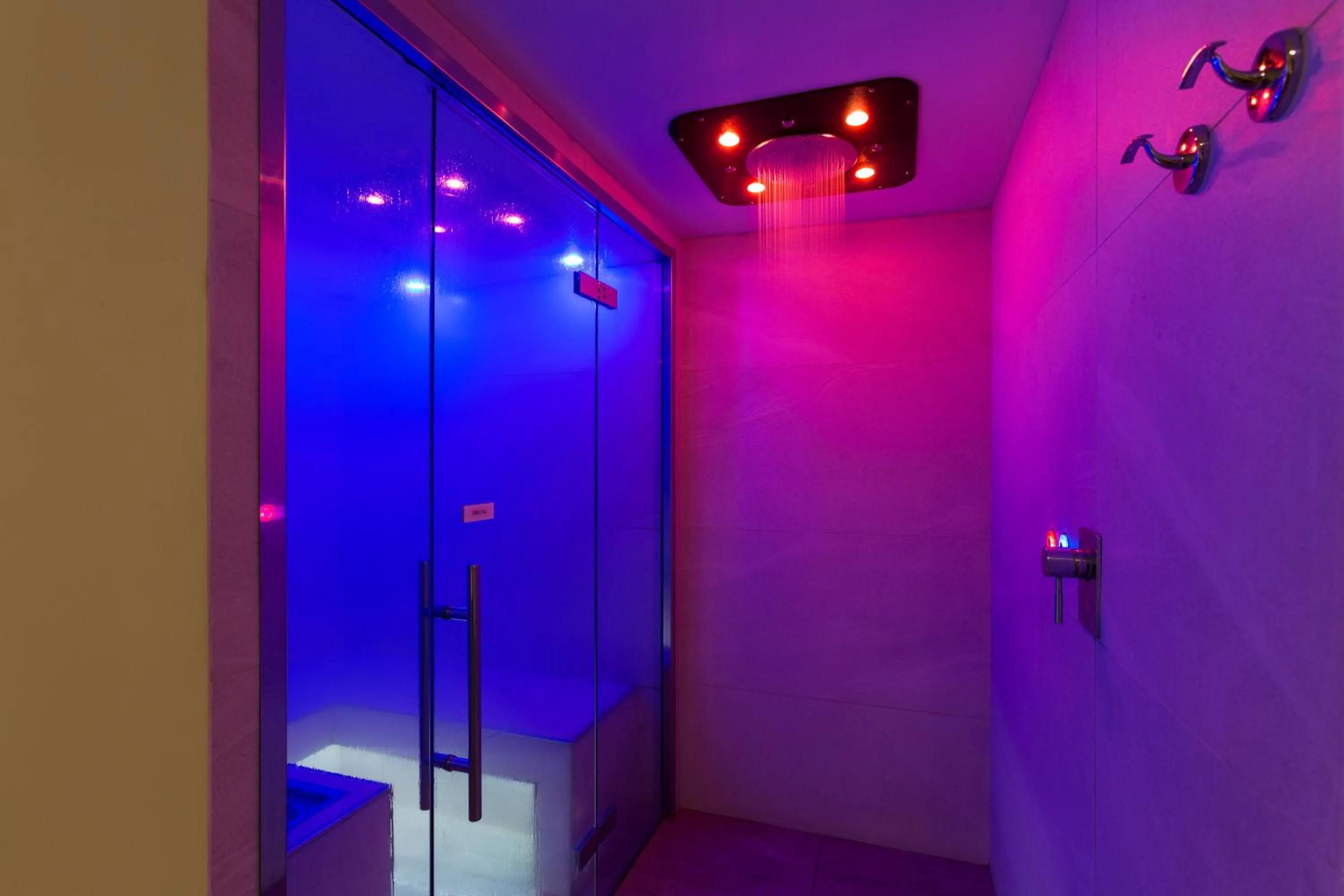 Spa and wellness centre/facilities in Hotel Central Wellness