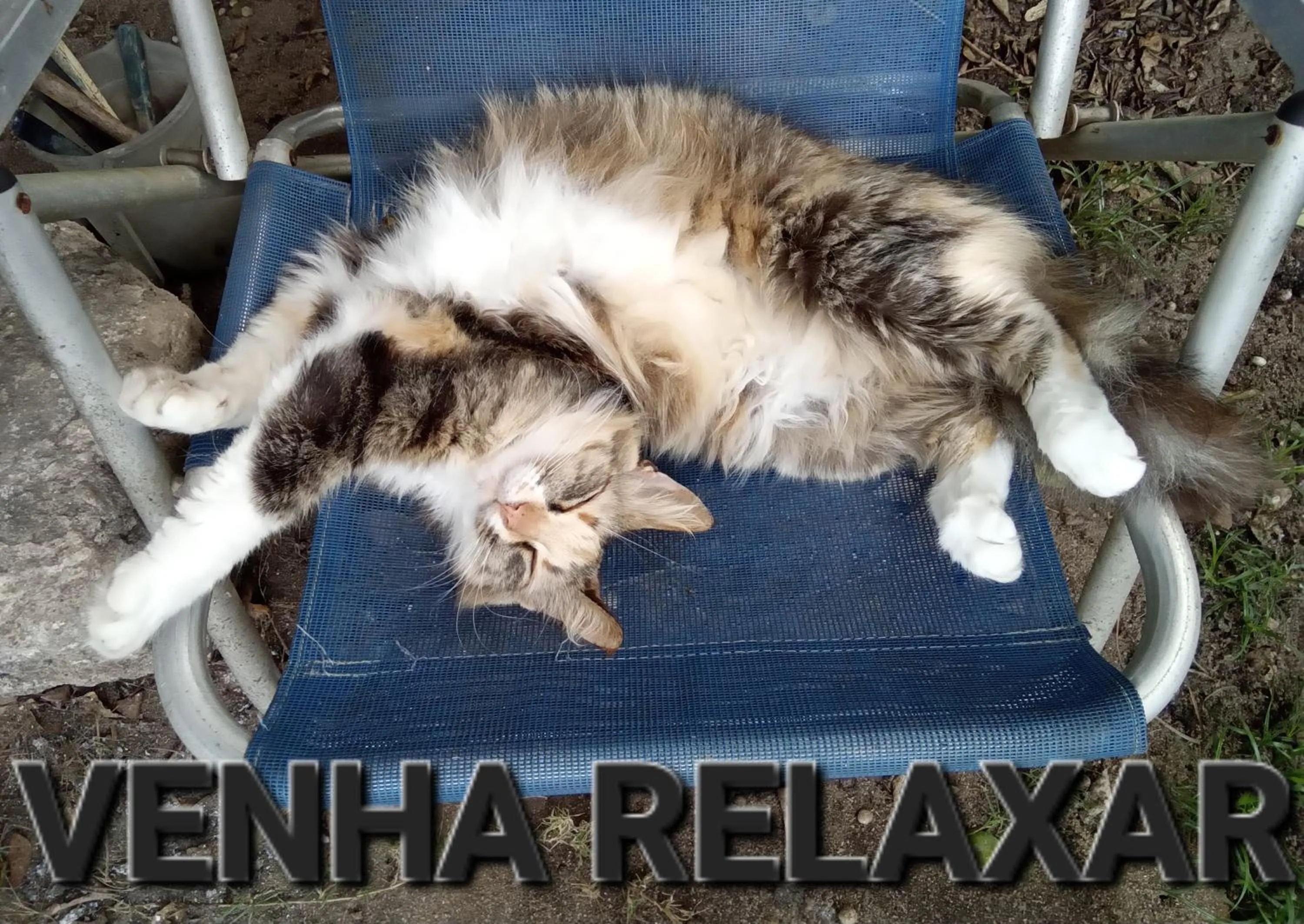 Suíte Ilhinha em condomínio na Praia do Perequê