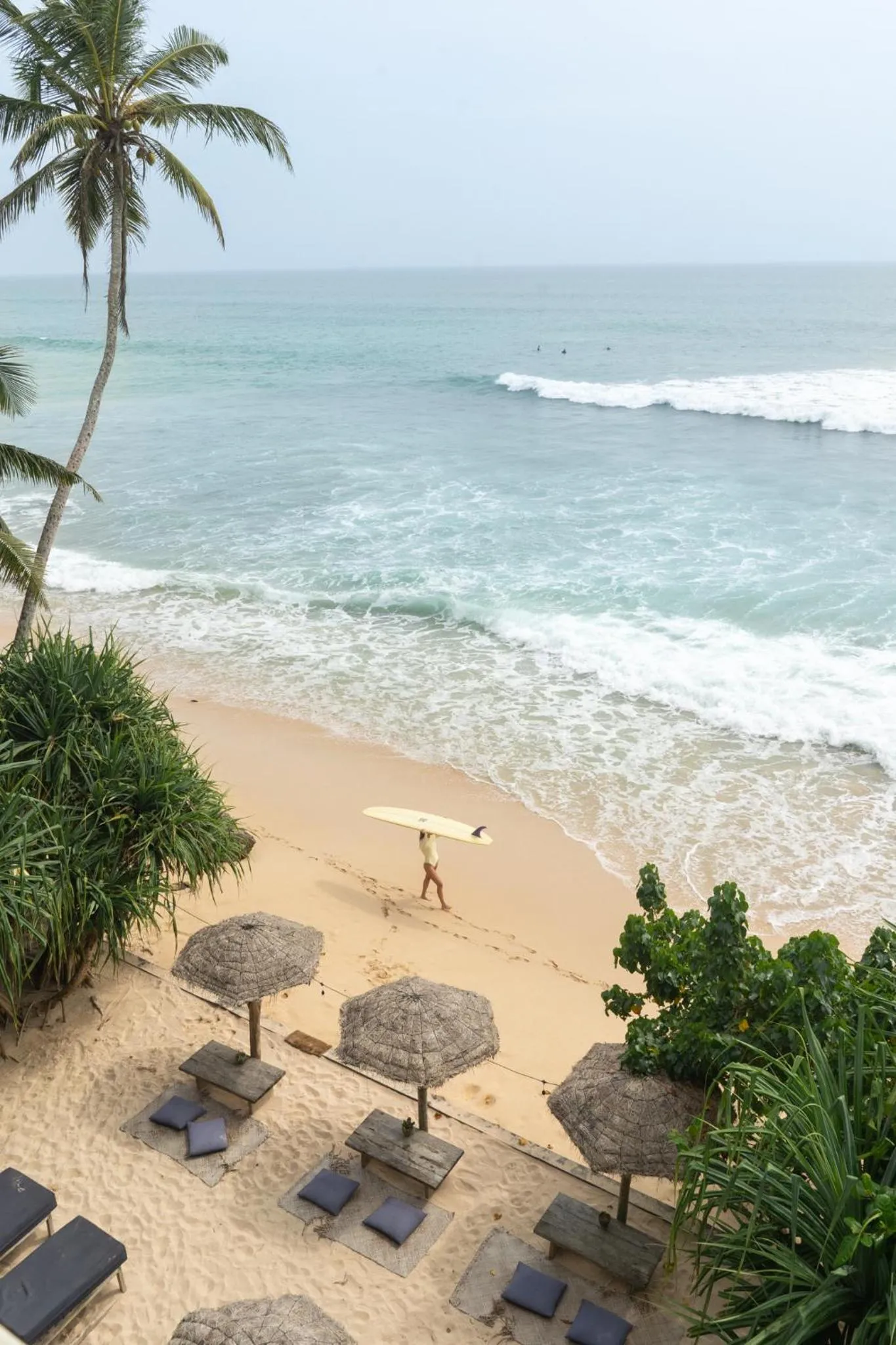 Natural landscape in Morena Boutique Hotel Weligama