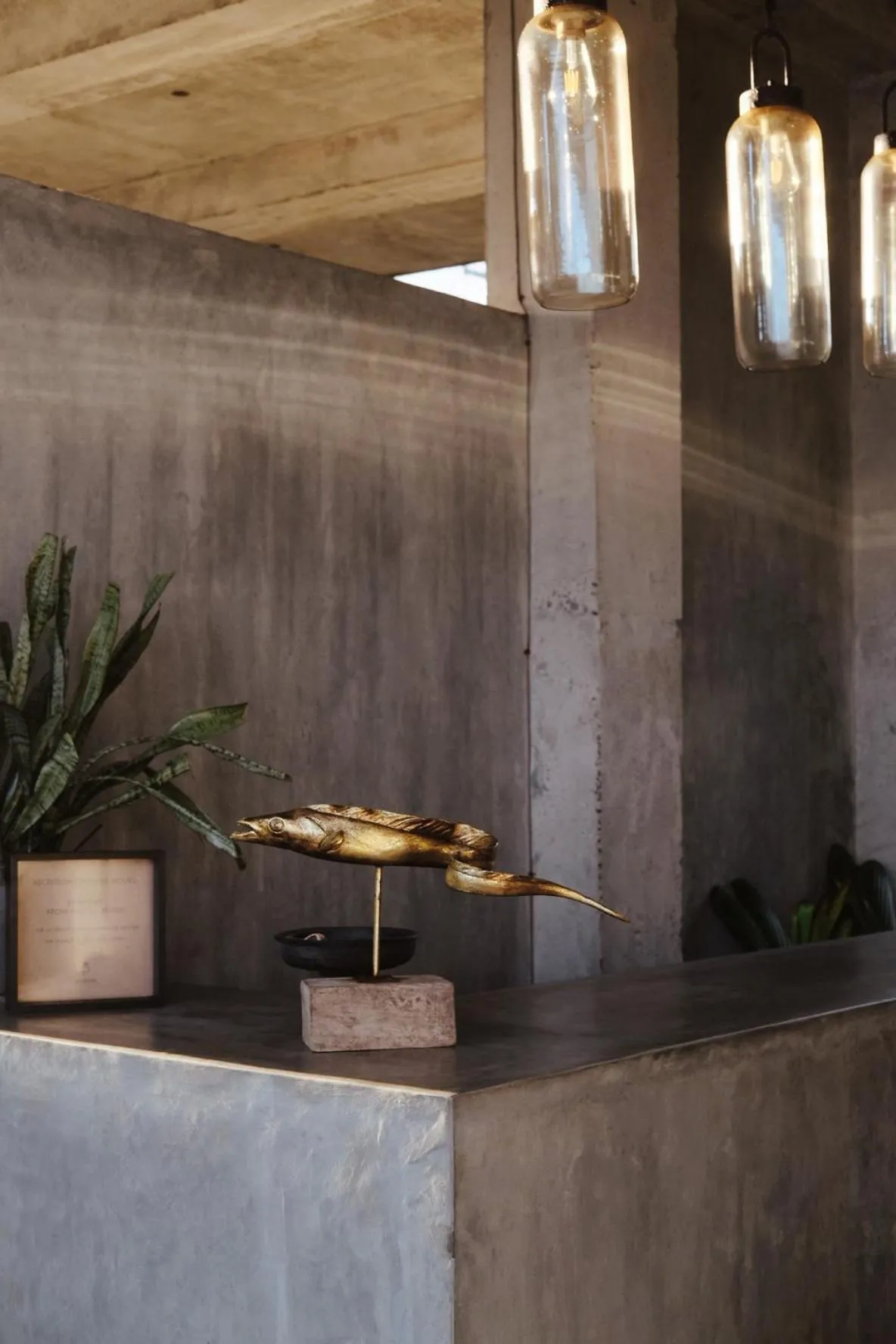 Lobby or reception in Morena Boutique Hotel Weligama