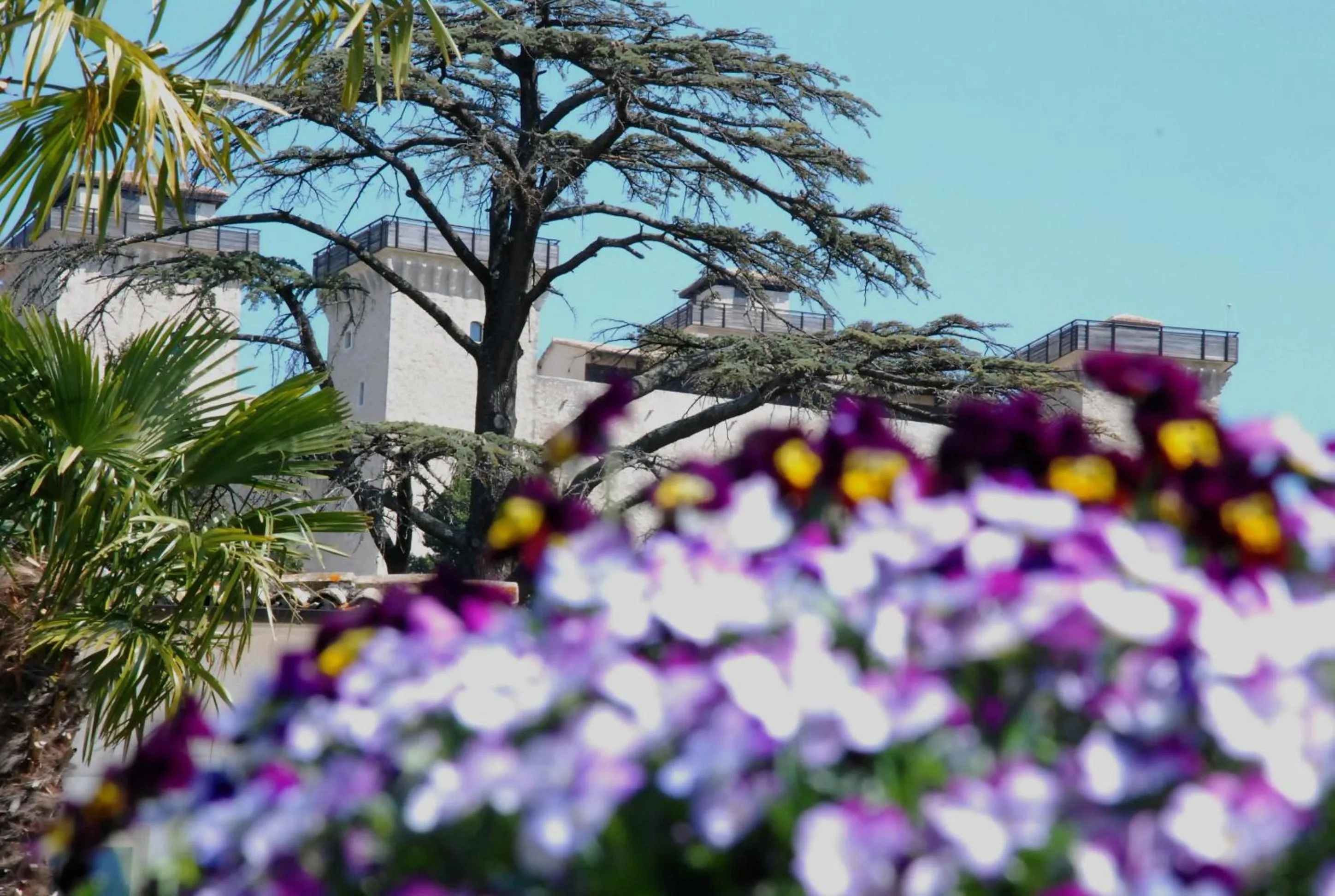 View (from property/room) in Palazzo Leti Residenza d'Epoca