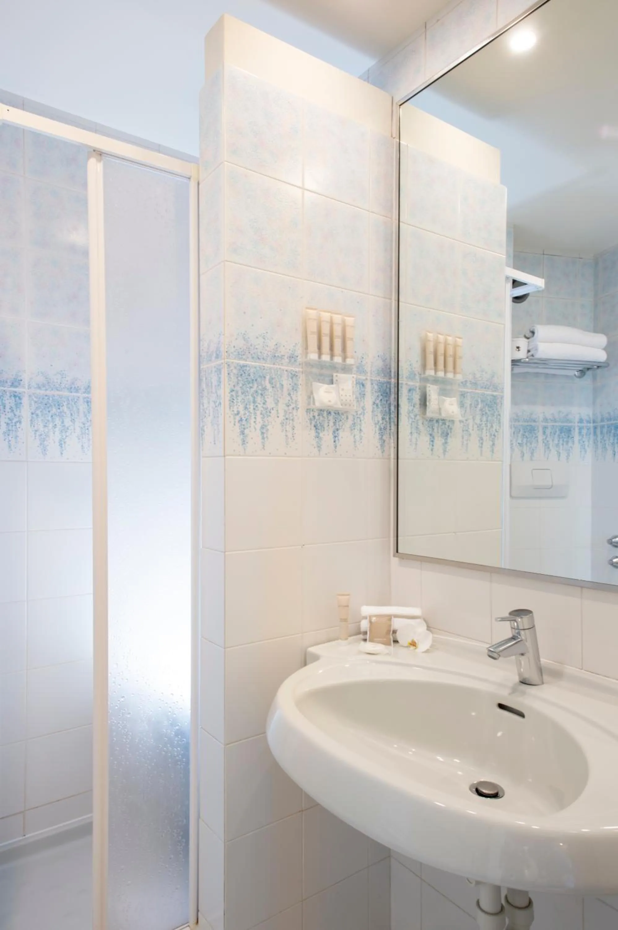 Shower in Hotel Grifone Firenze - Meetings & Spa