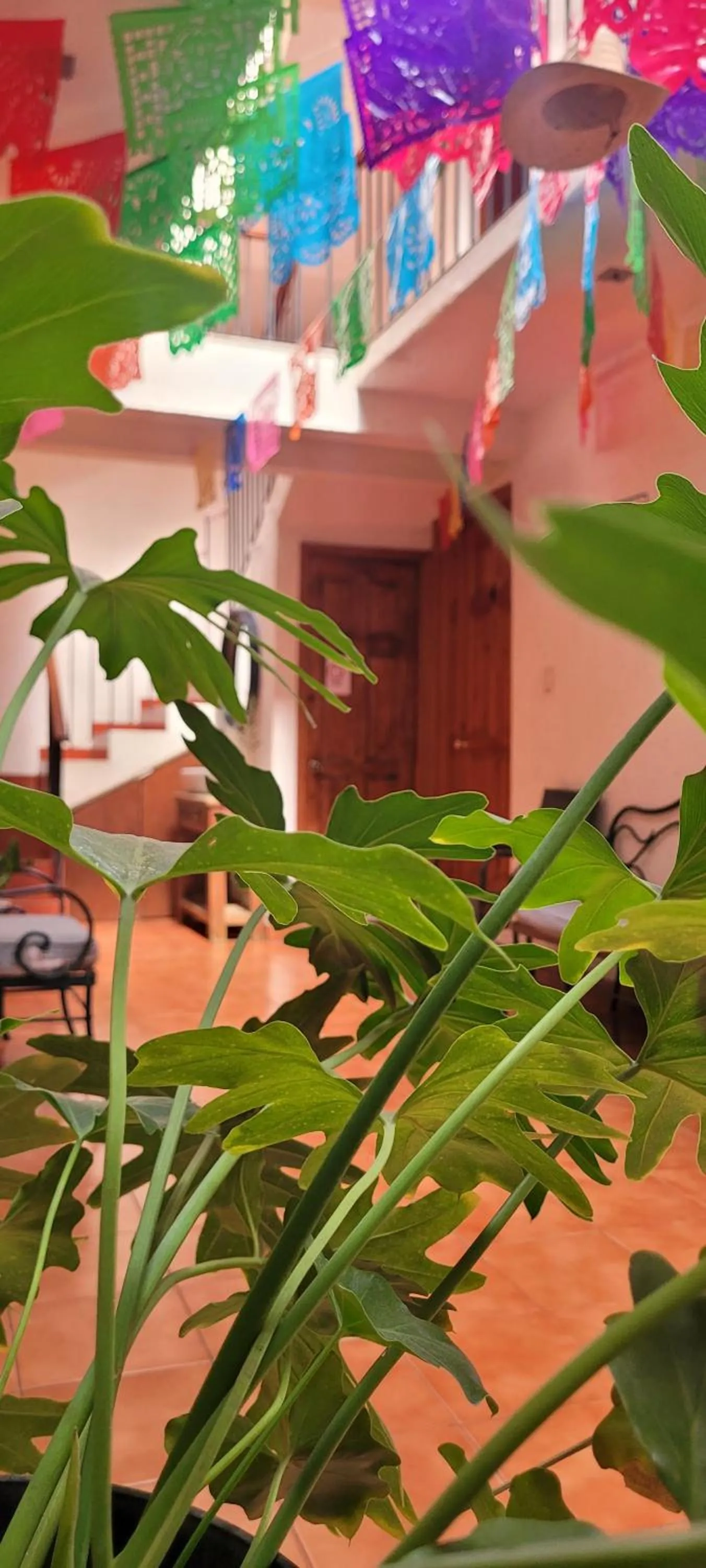 Property building in CASARU HOTEL OAXACA