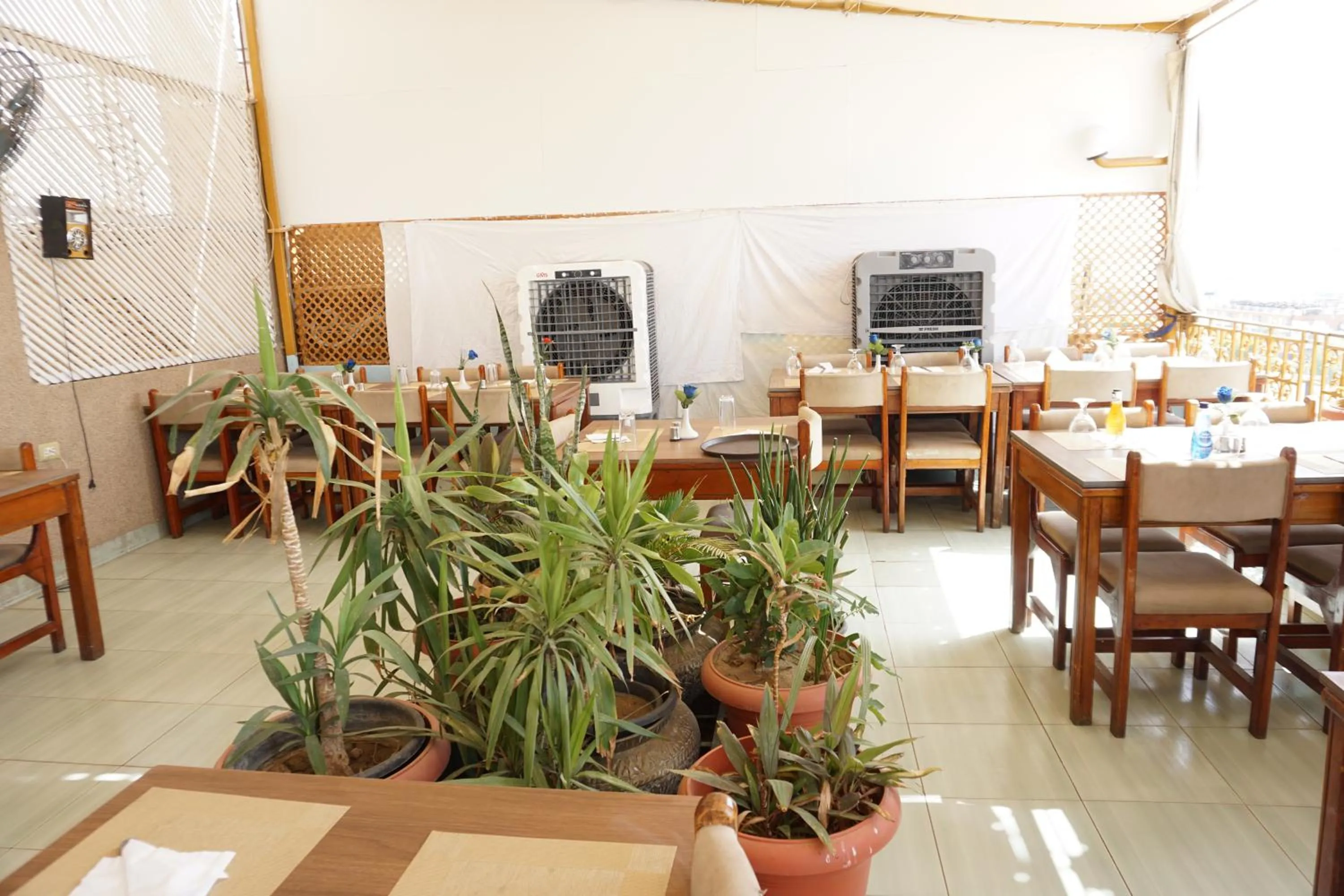 Balcony/Terrace in New Saint Catherine Hotel