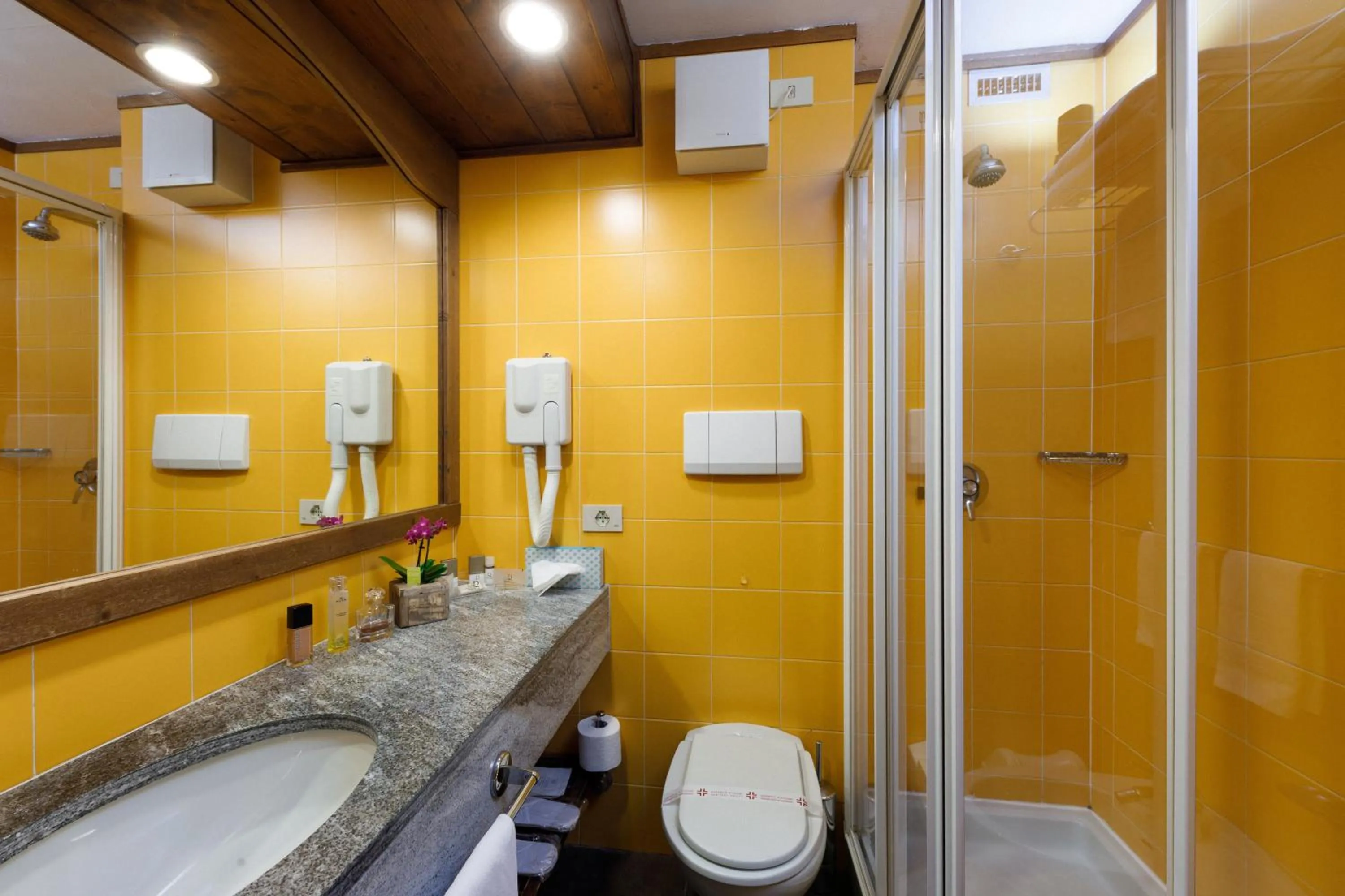 Bathroom in Hotel Alaska Cortina