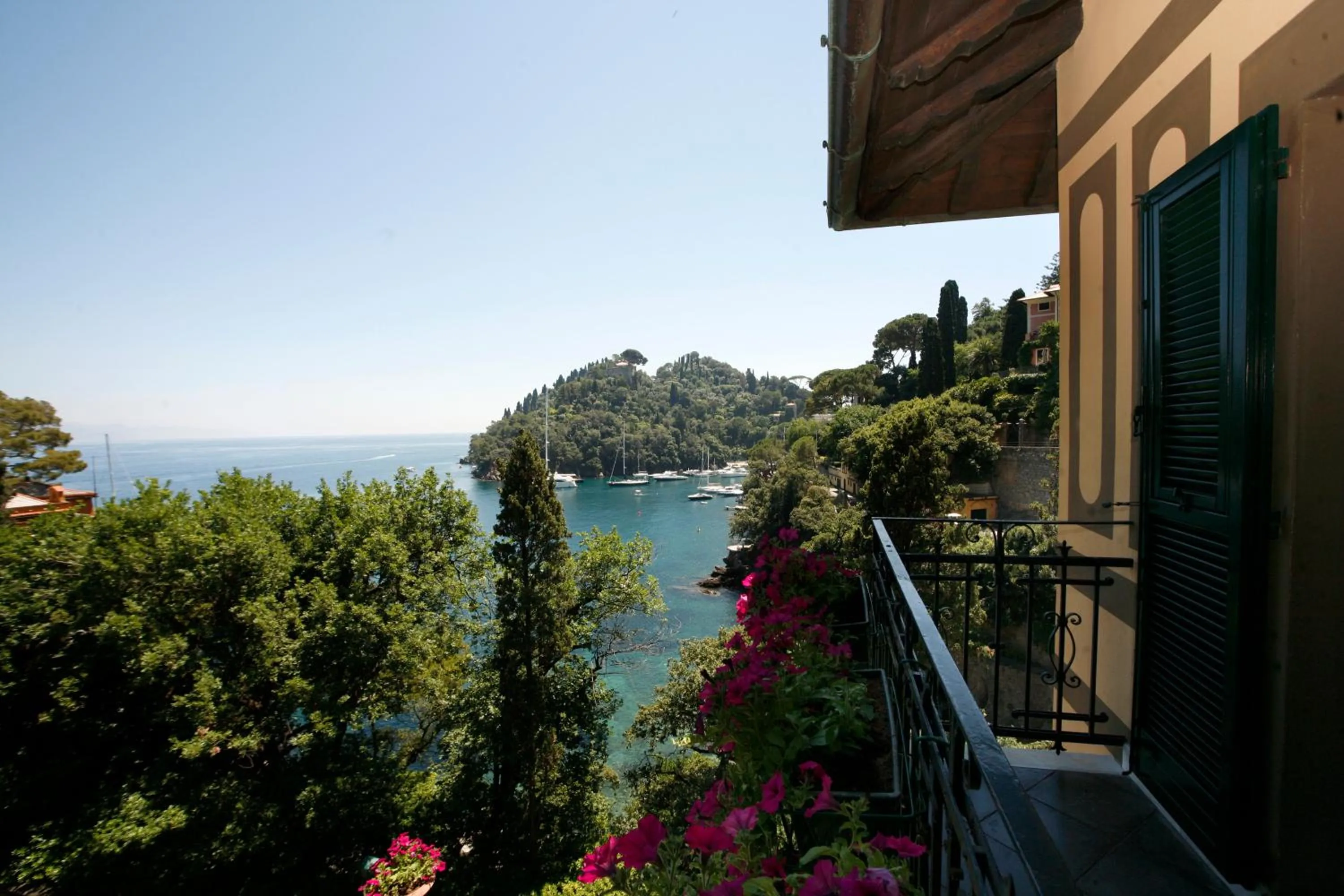 View (from property/room) in Hotel Piccolo Portofino