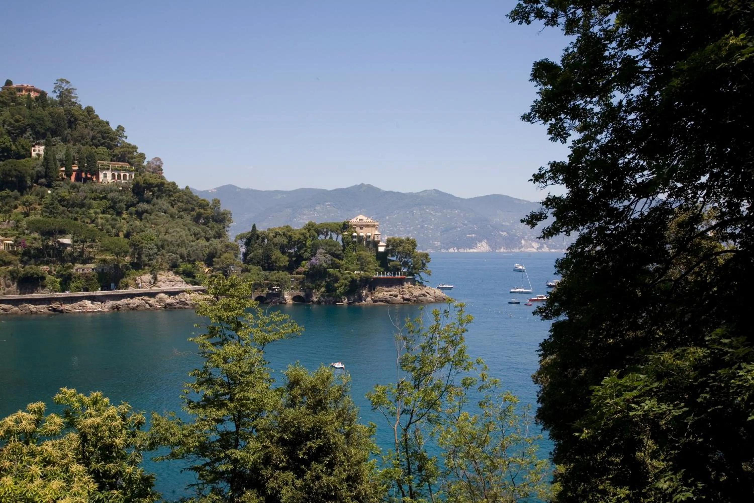 View (from property/room) in Hotel Piccolo Portofino