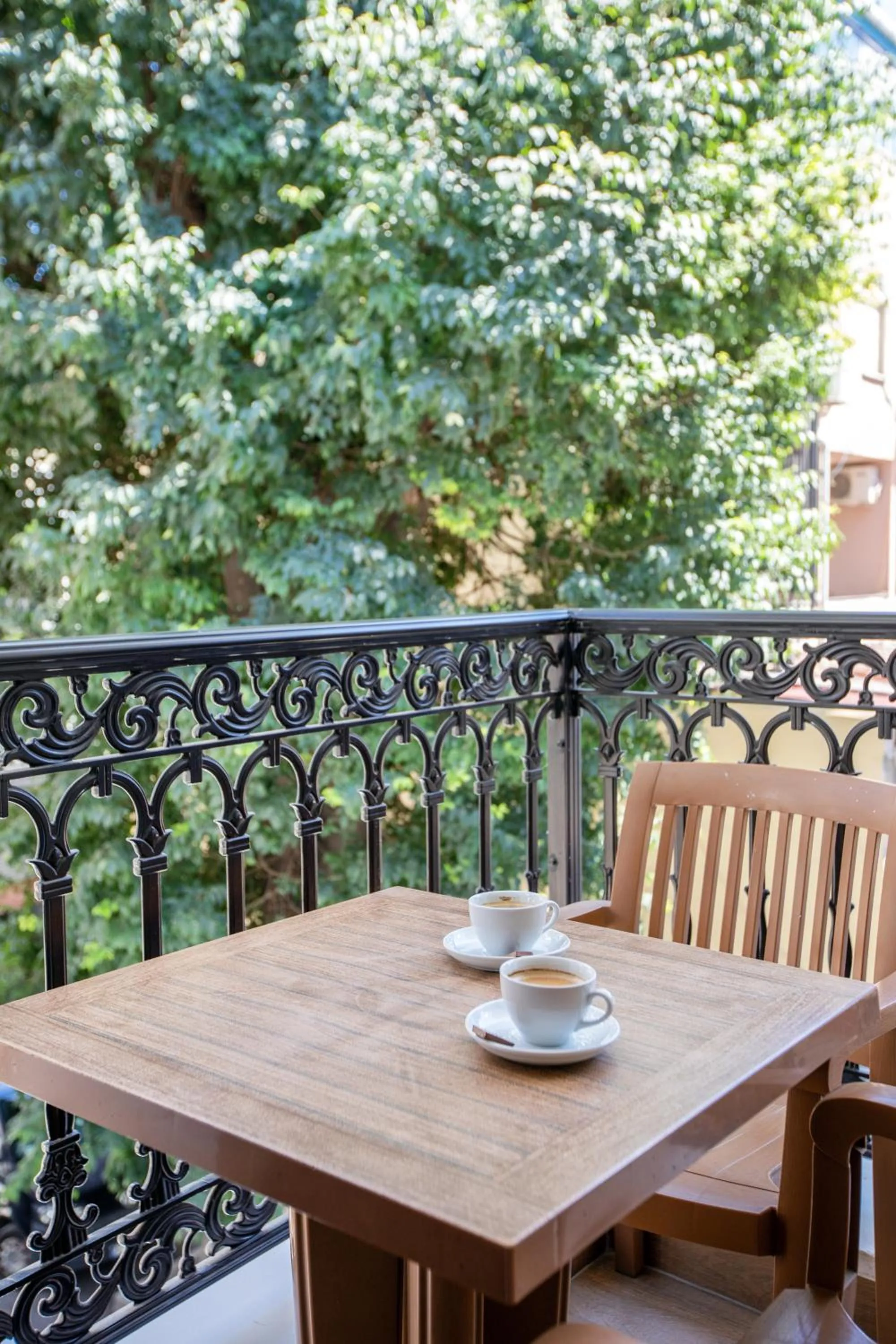 Balcony/Terrace in Opatija Hotel