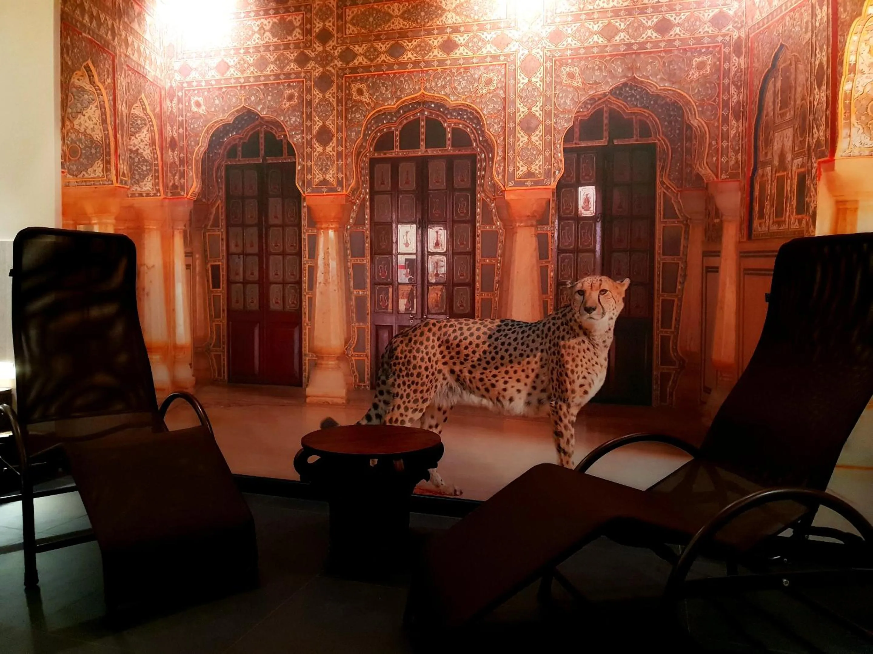 Spa and wellness centre/facilities in Hotel Astoria