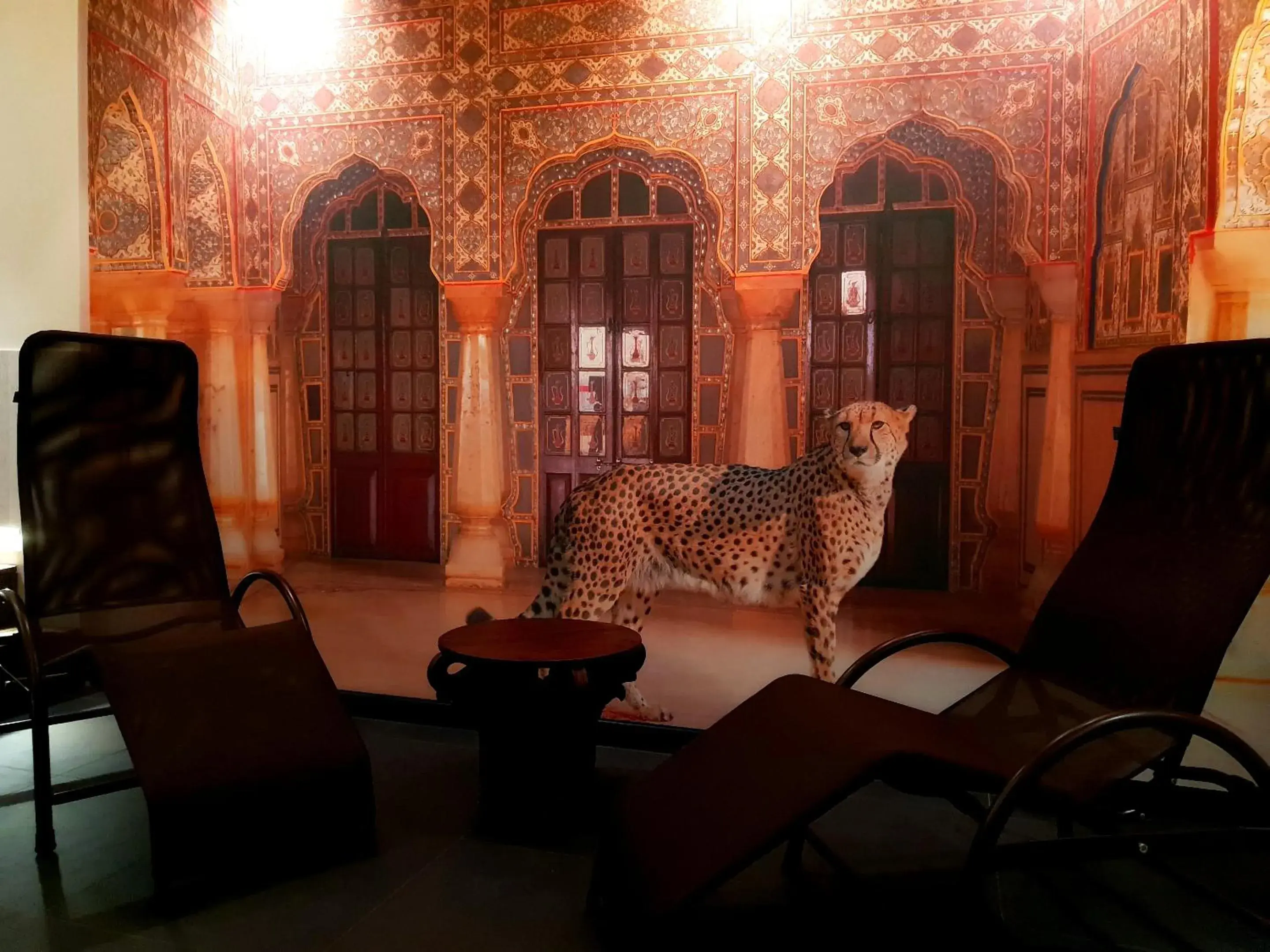 Spa and wellness centre/facilities in Hotel Astoria Spa and wellness centre/facilities in Hotel Astoria